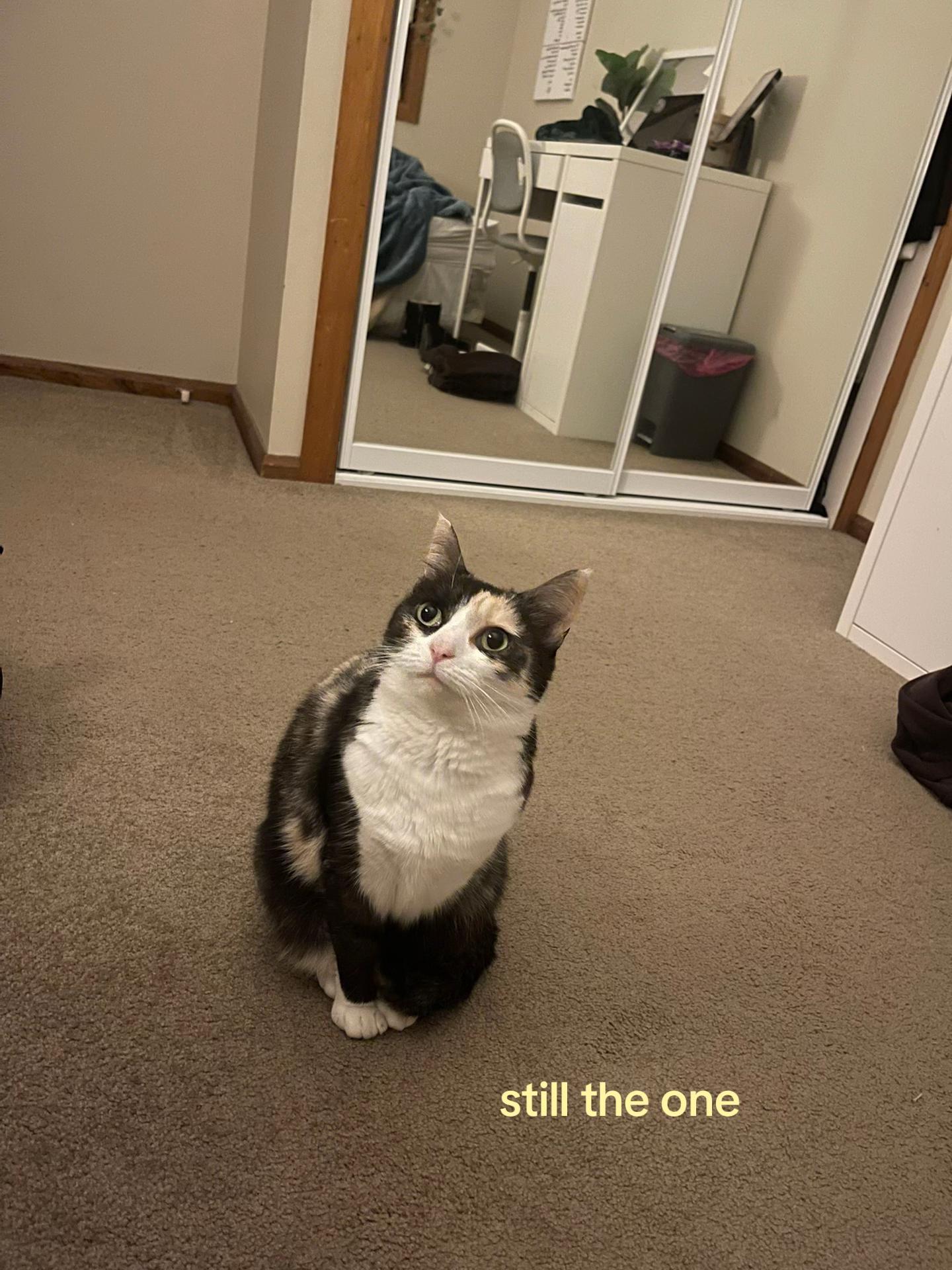 @𝓔🪽