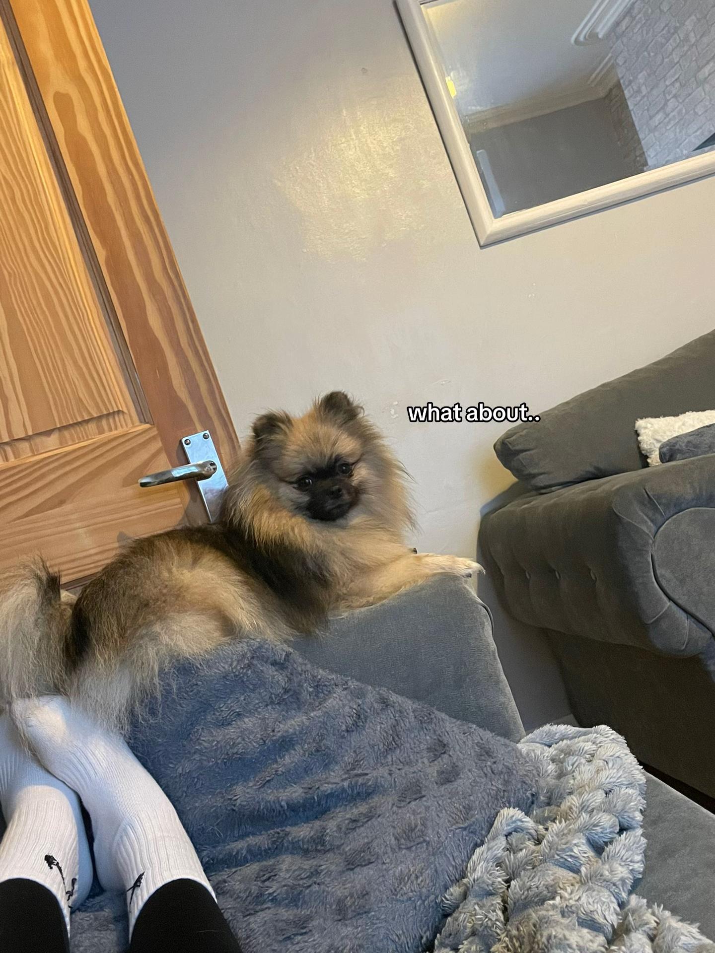 @𝐝𝐚𝐫𝐥𝐚 ! 🤸