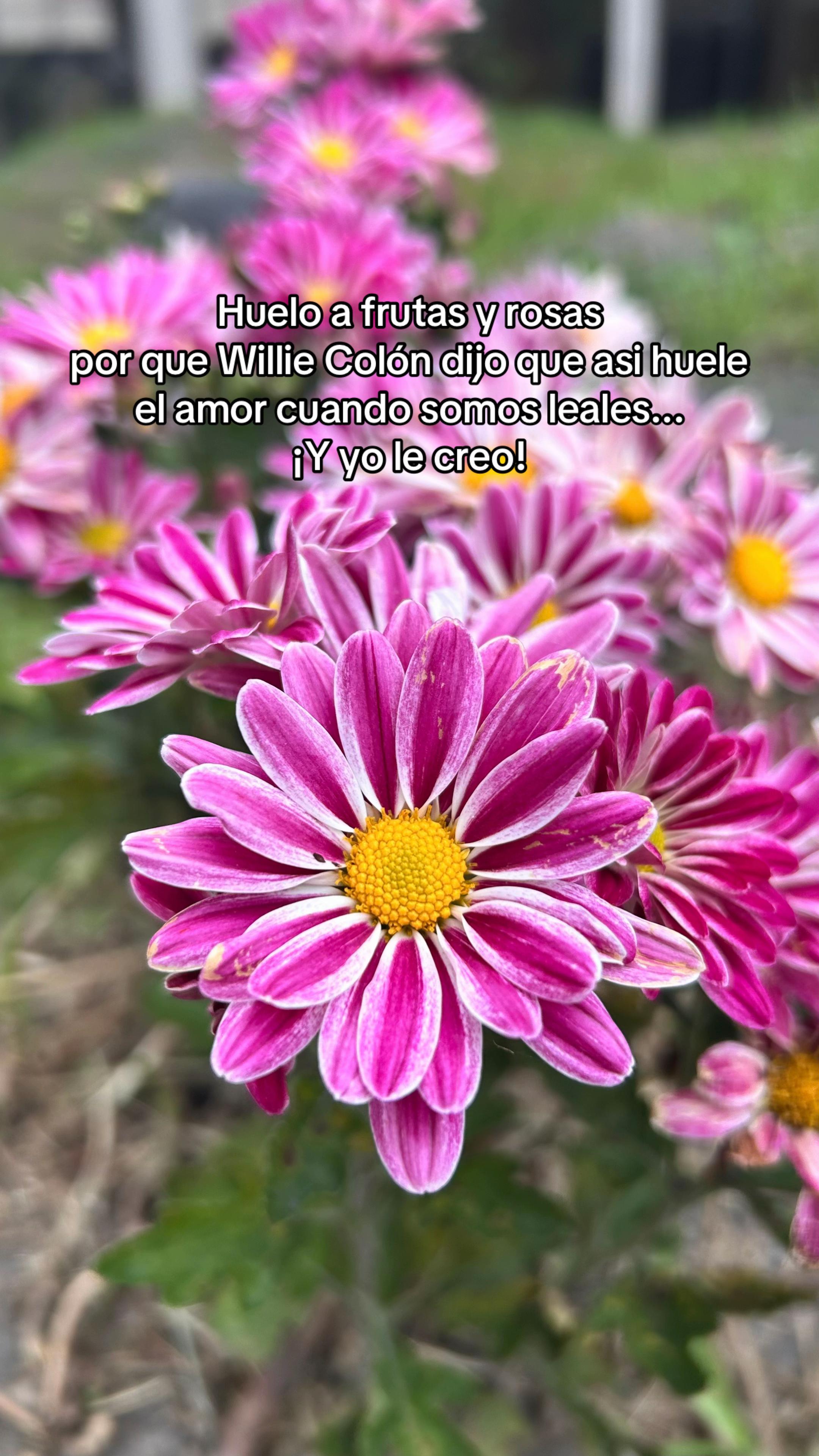 @gabyswineloveroficial