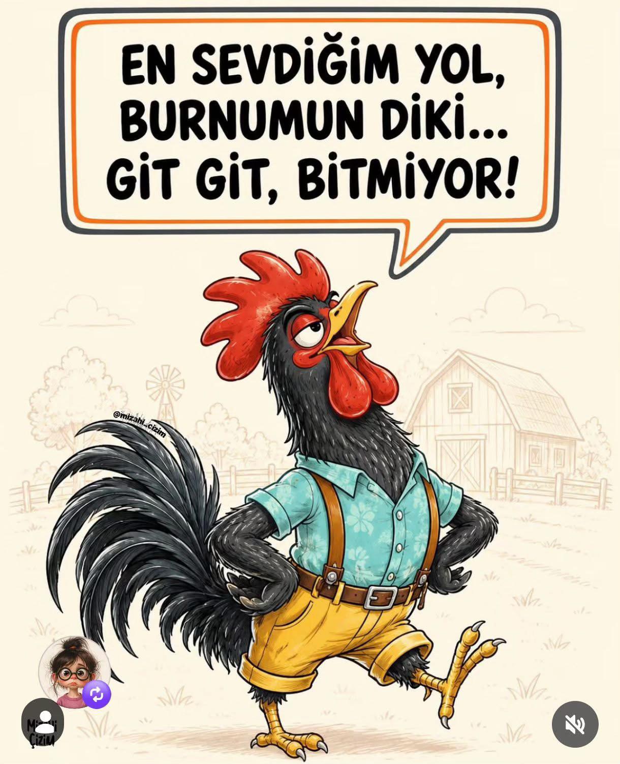 @48 Krall Lionn