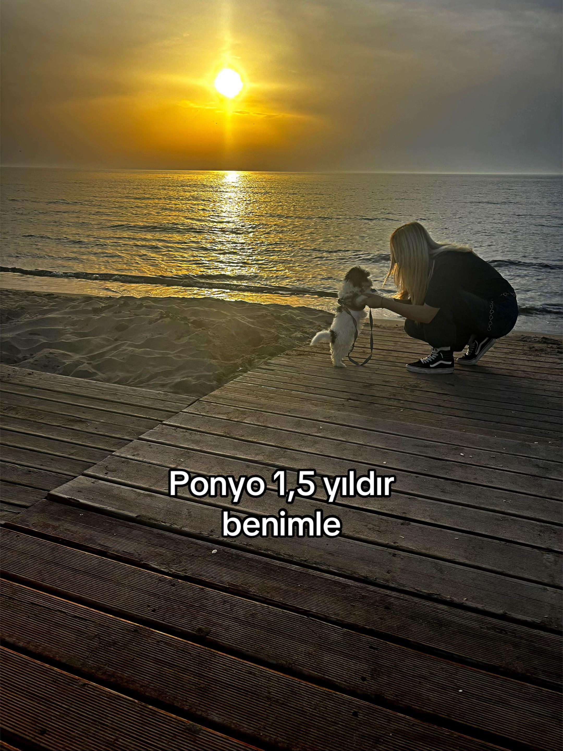 @nehh7iir
