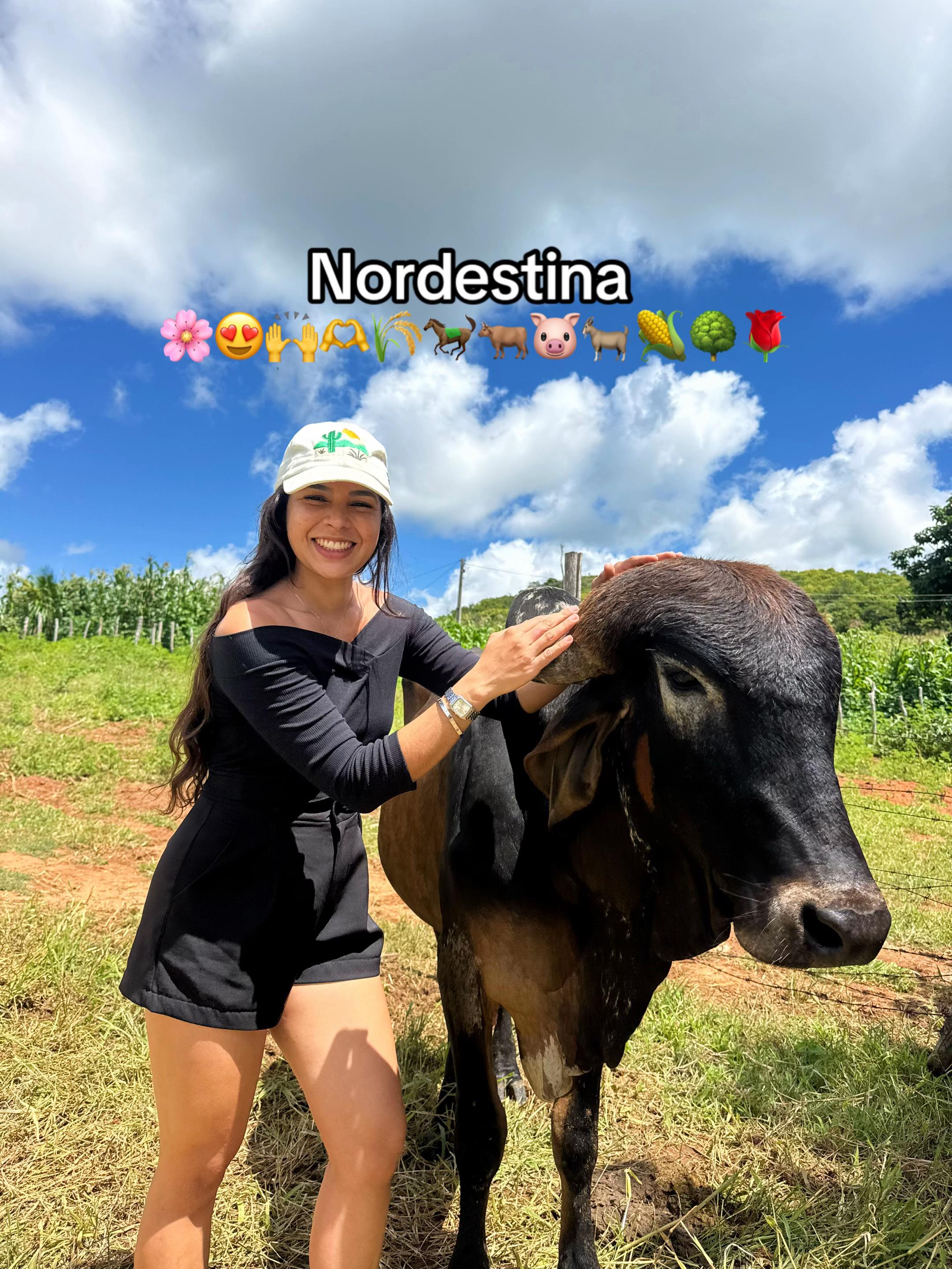 @Mônica Chaves
