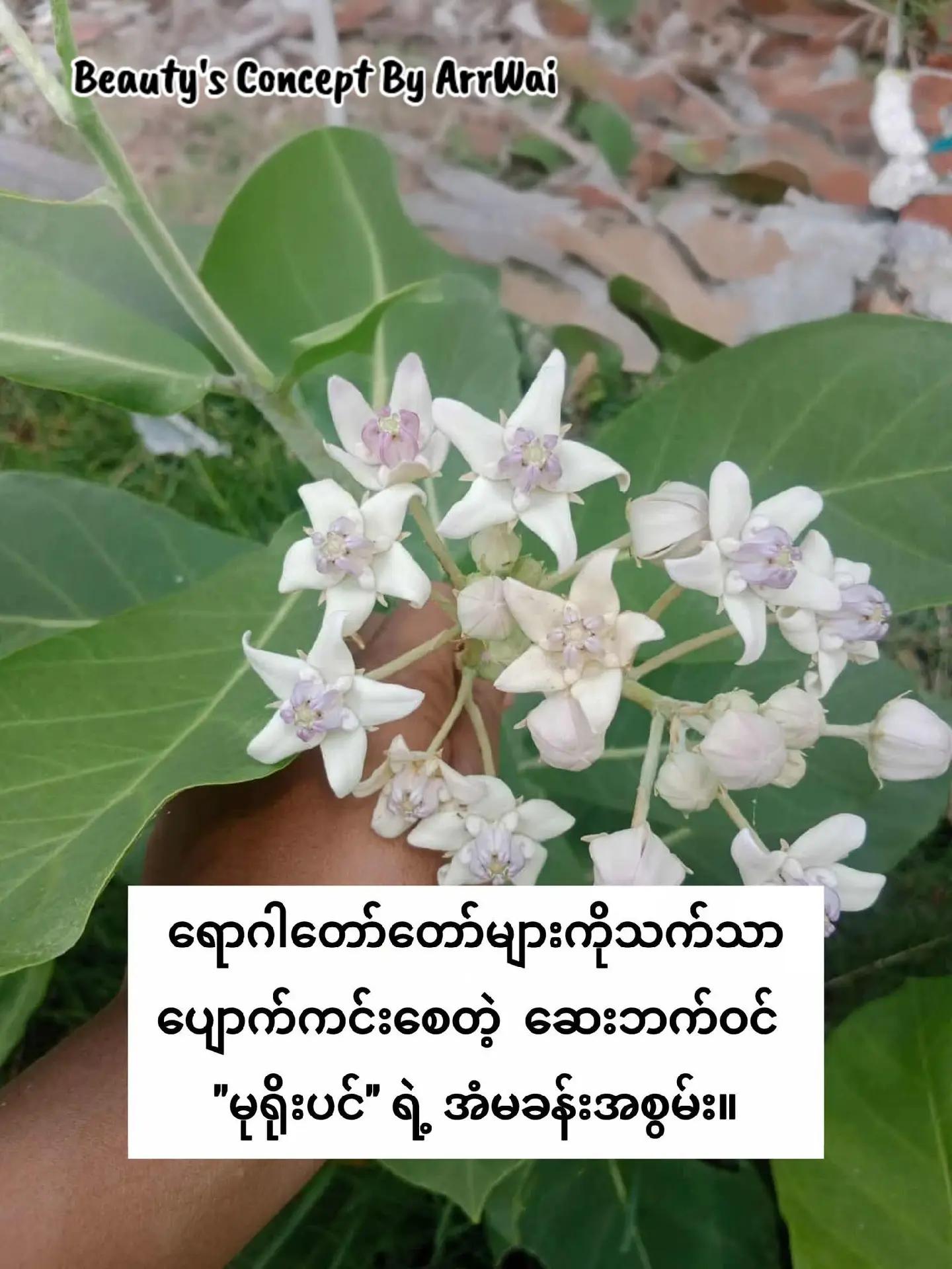 @đđŤđŤ_đđđ˘ đđ¨đŽđŤđ§đđ˛