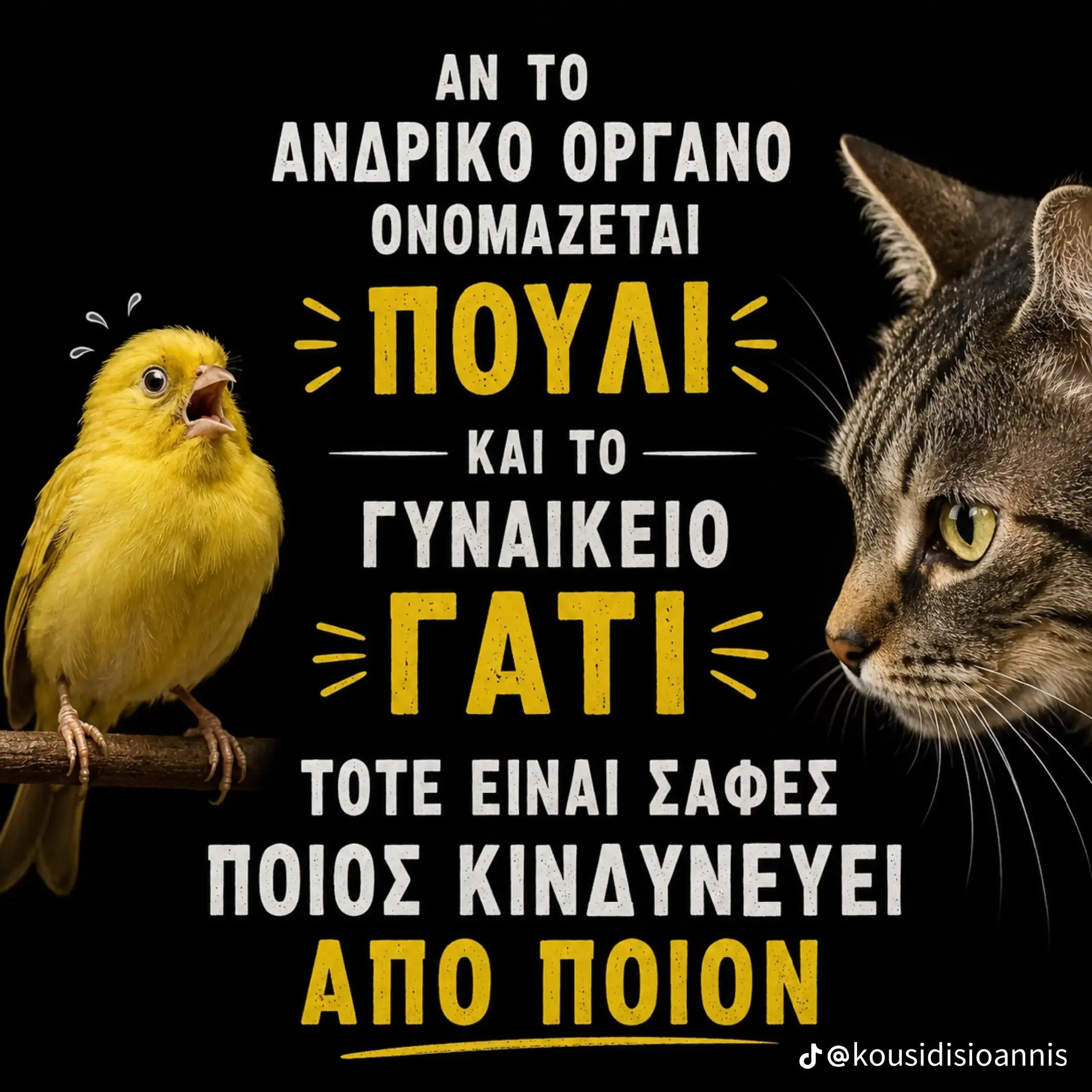 @Giannis Natsos