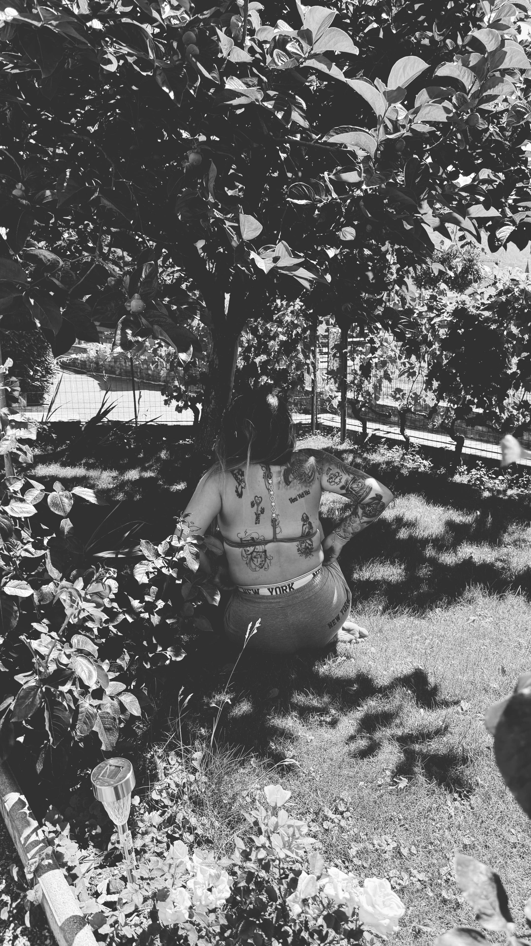 @𓆣 𝙼𝚂𝚈-𝔐4𓃠𓁝🦁🖤 🐦&zwj;🔥