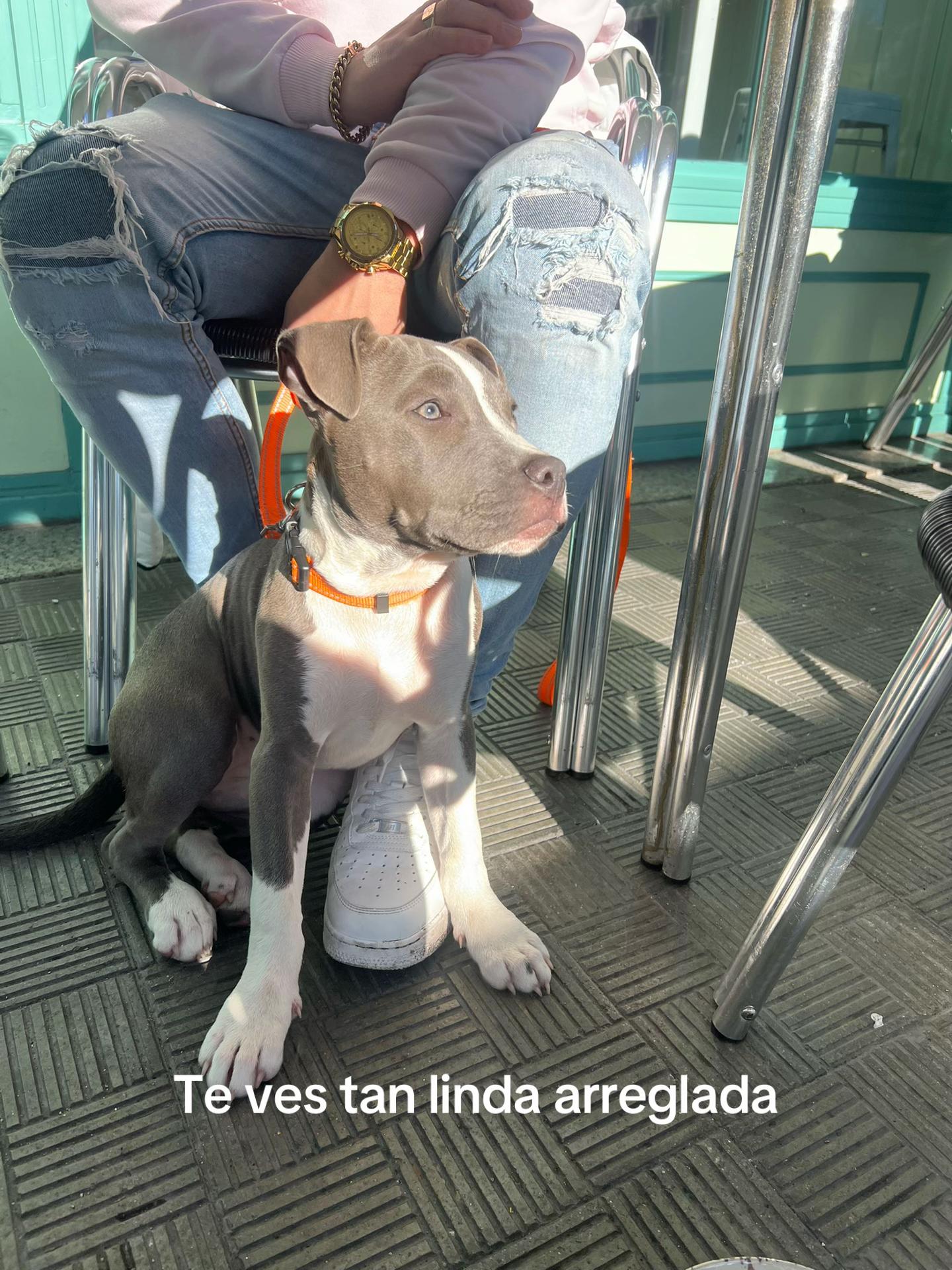 @Erea Cendan