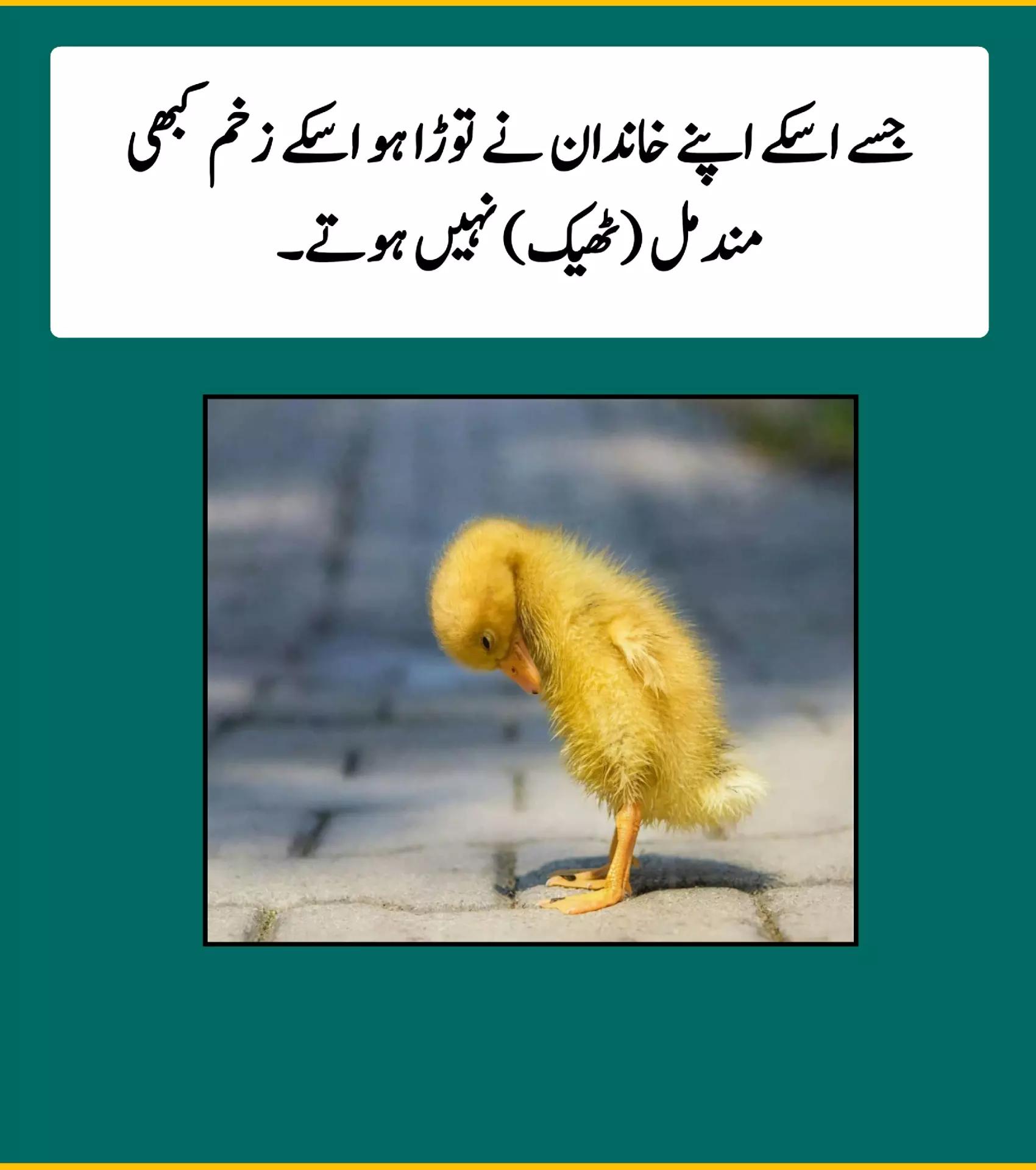 @Ghazi khail