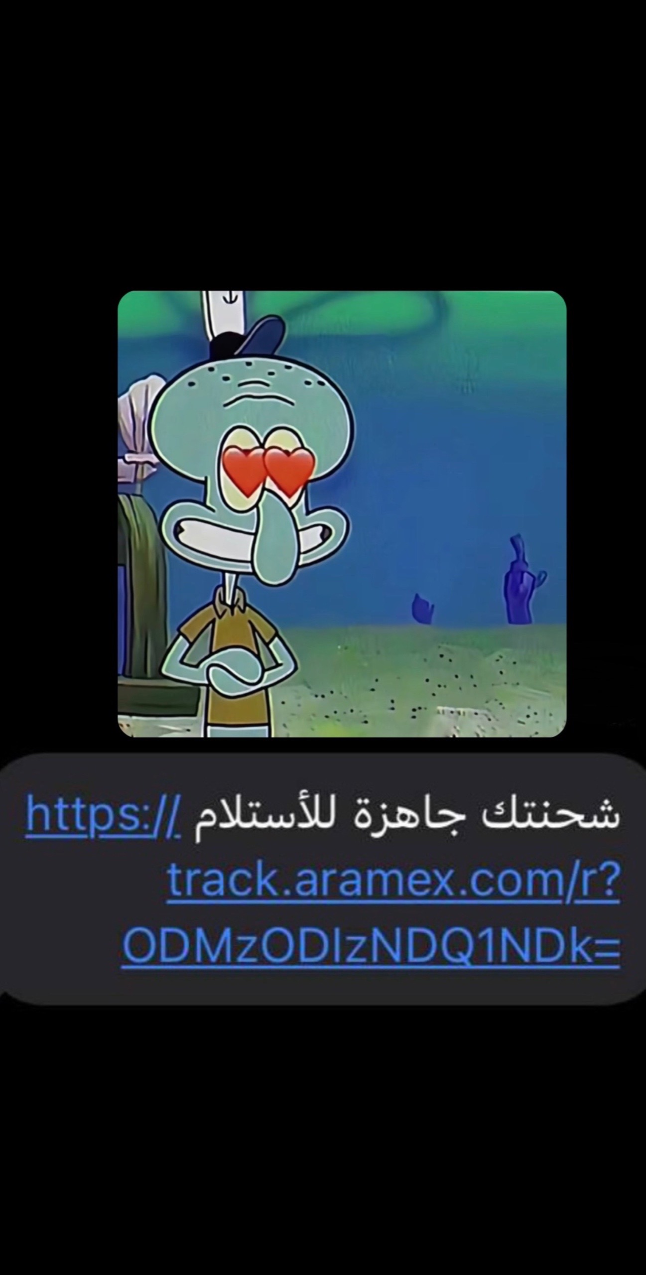 @Y 𝚂 F  🇸🇦