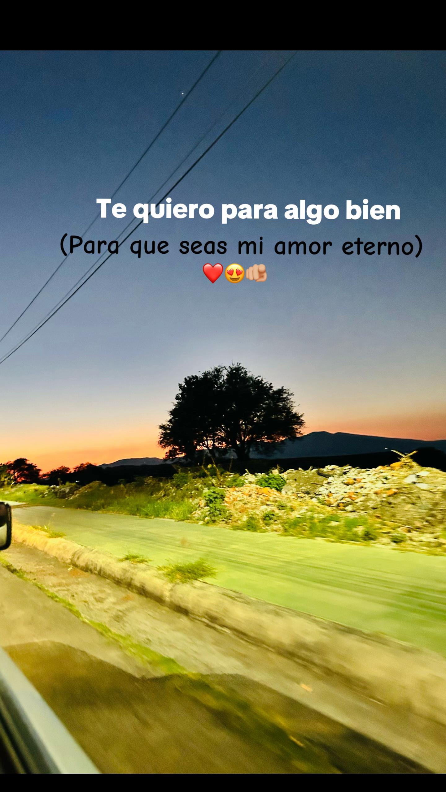 @lcia_65