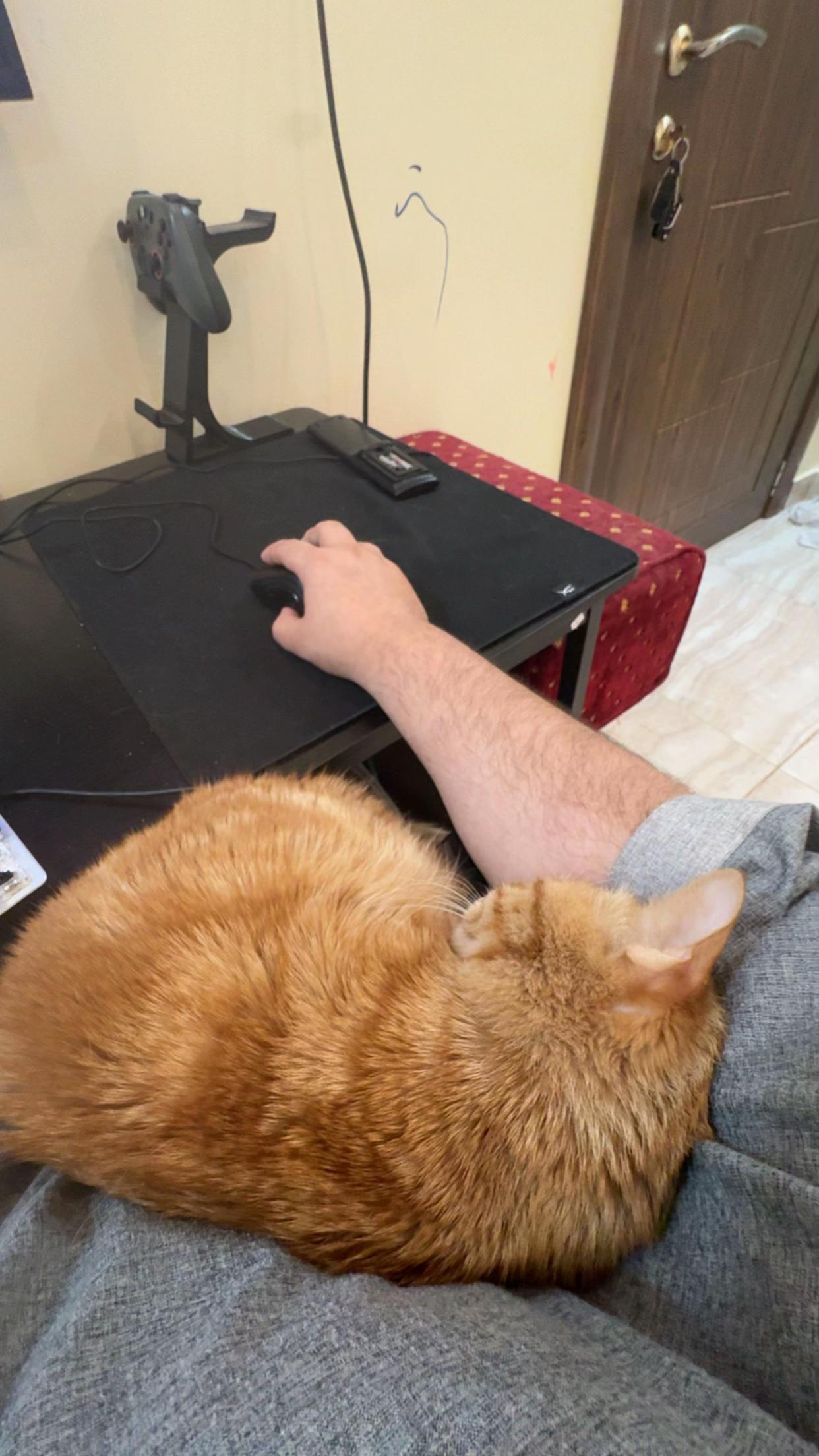 @3aslTheCat