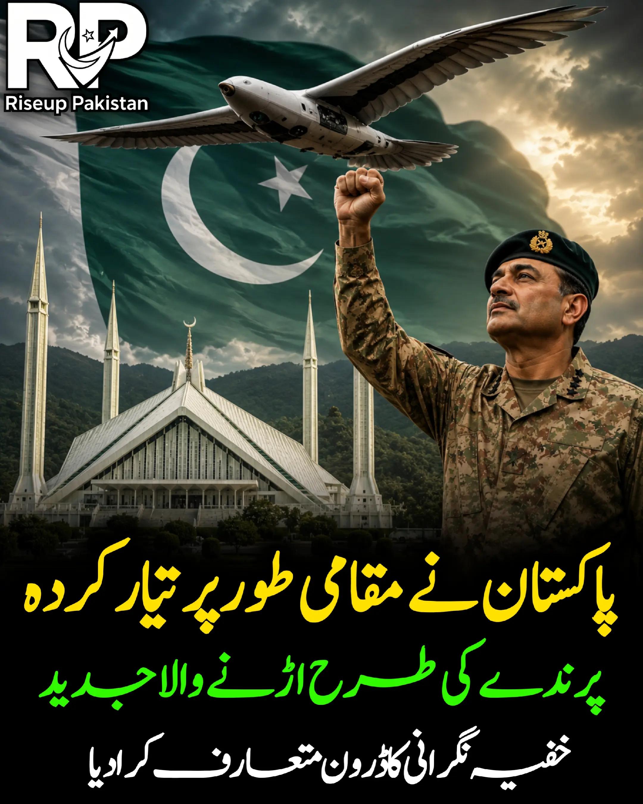 @Riseup Pakistan