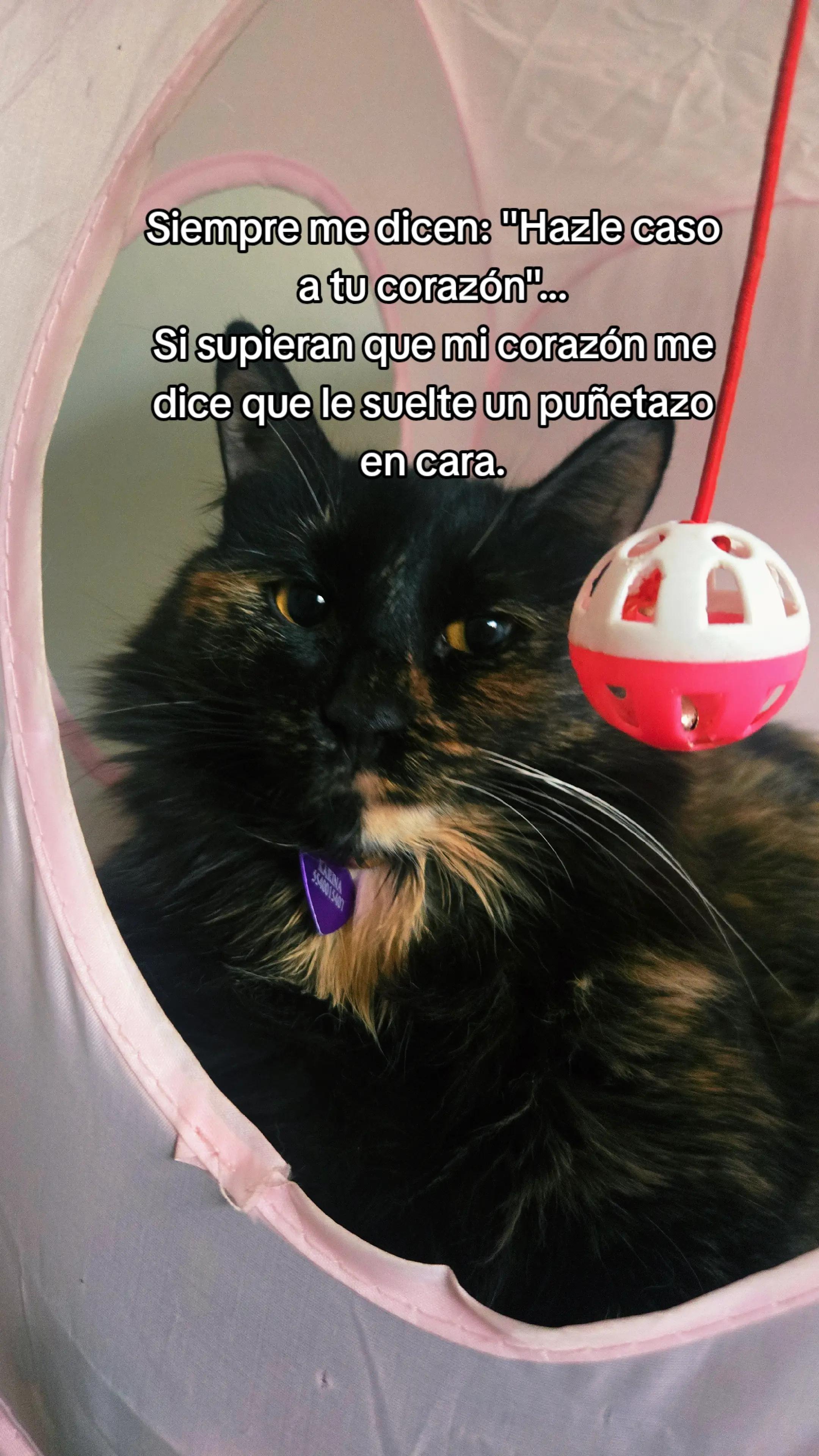 @Karina BO