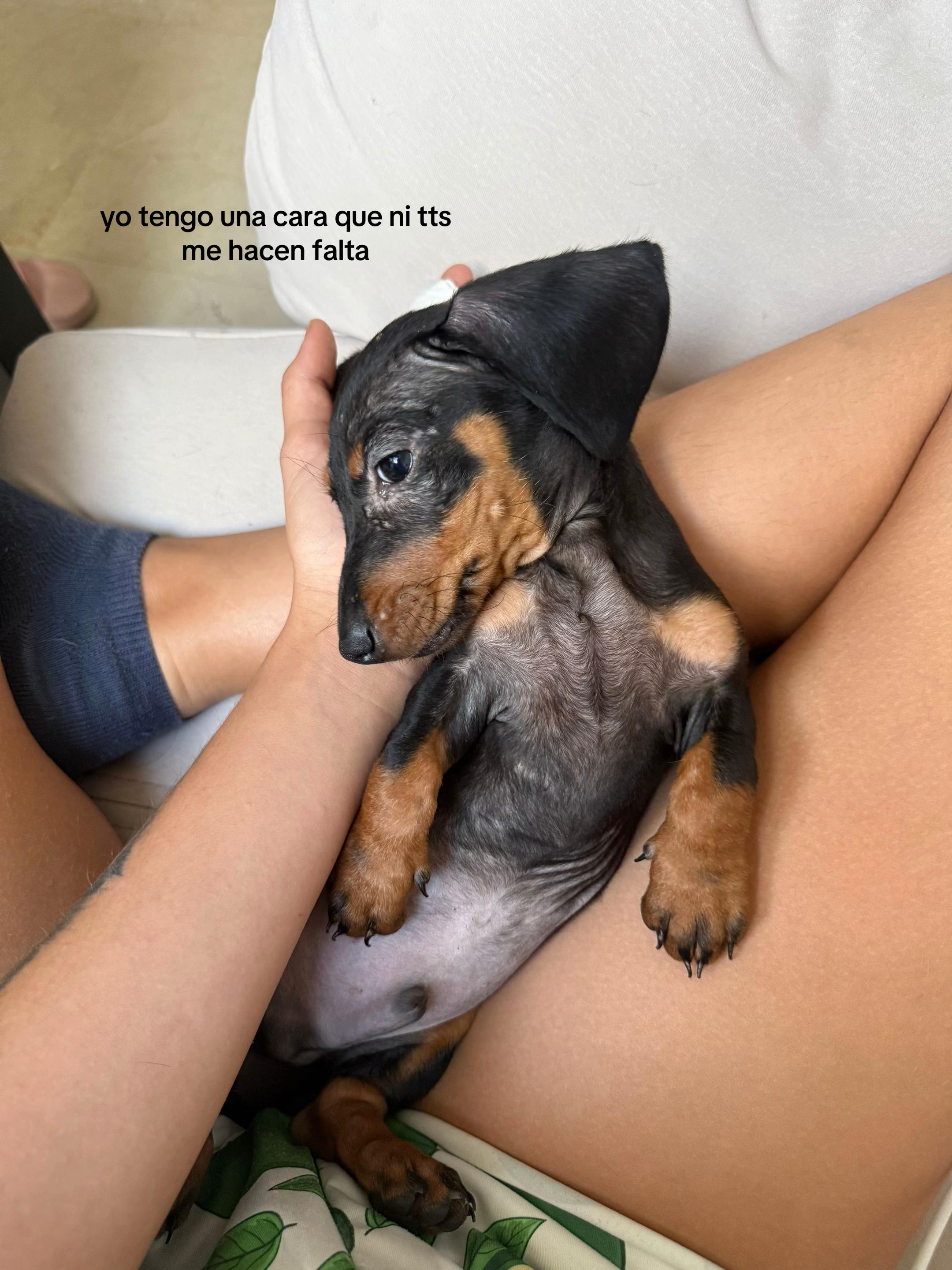 @Cynthia🪬🩵