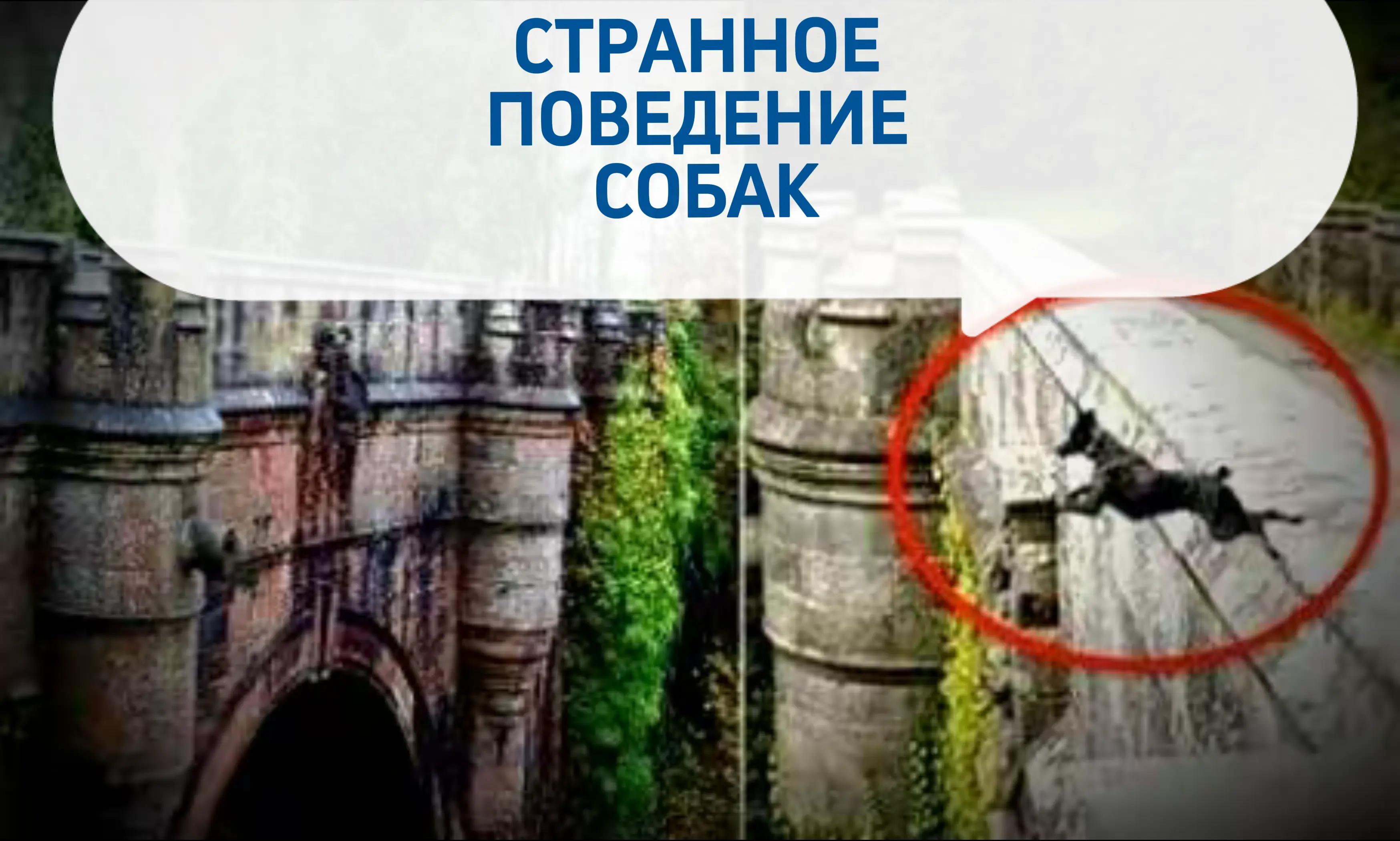 @glaube nicht (не верю)