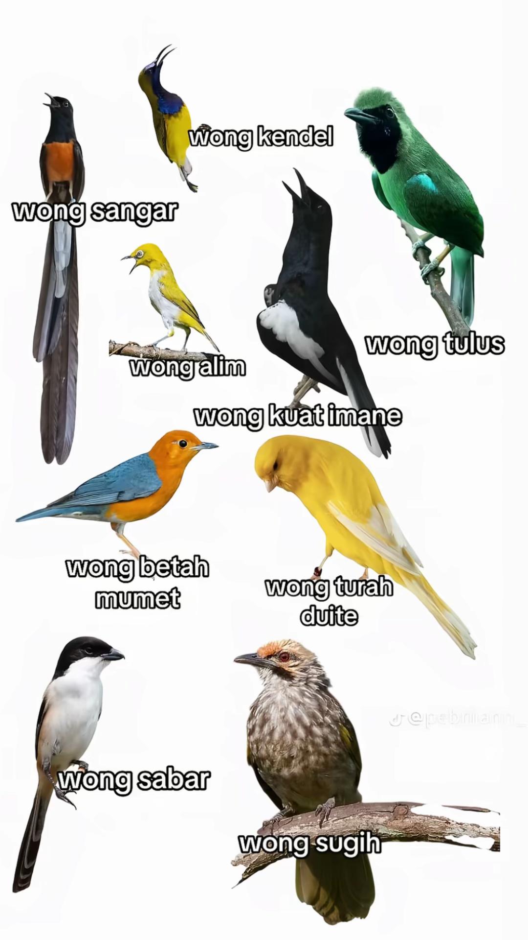 @w𝖆𝖆𝖓𝖘.