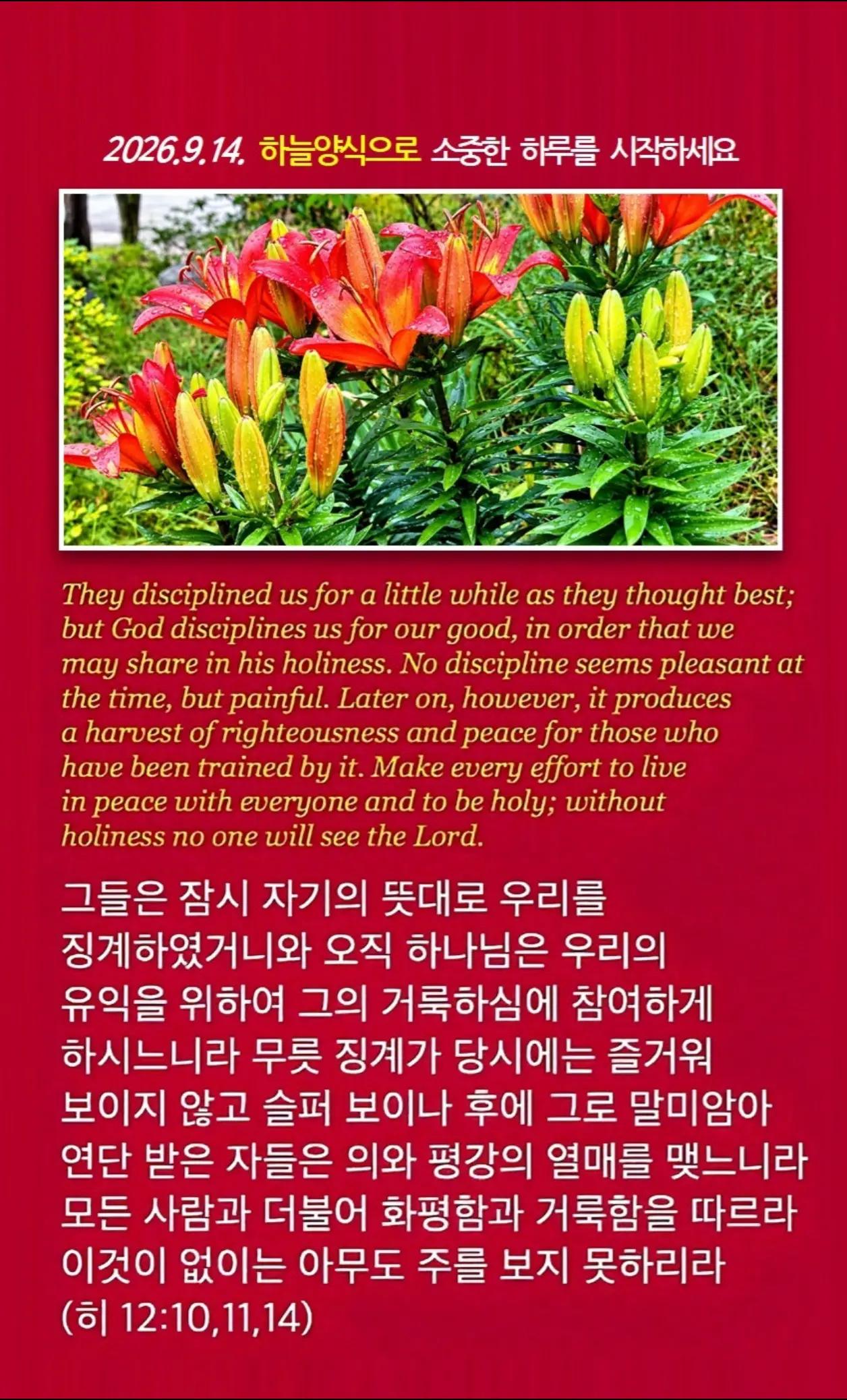 @피켓전도 김종일 목사