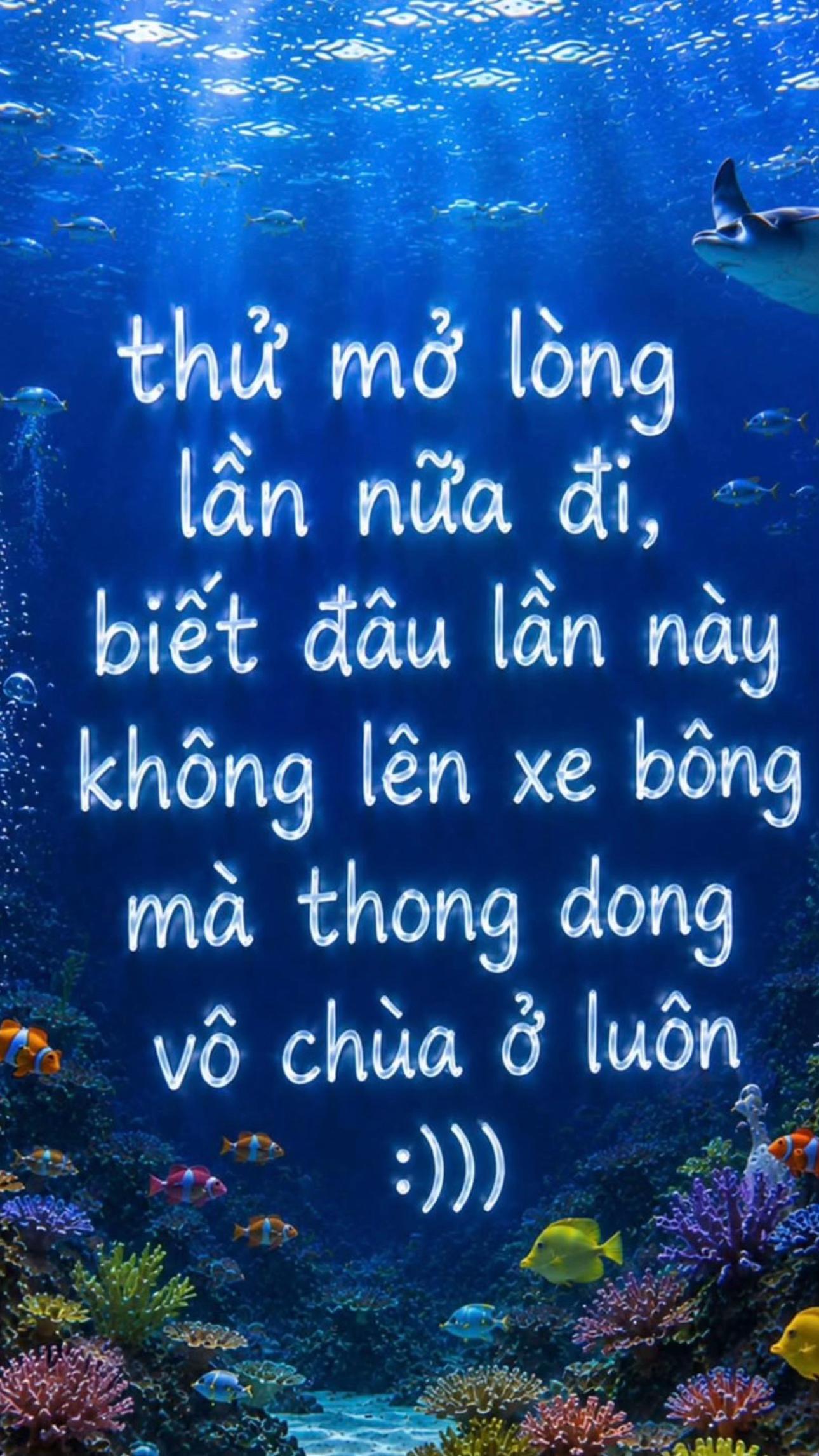 @Con Mẹ Châu 🤏🏻