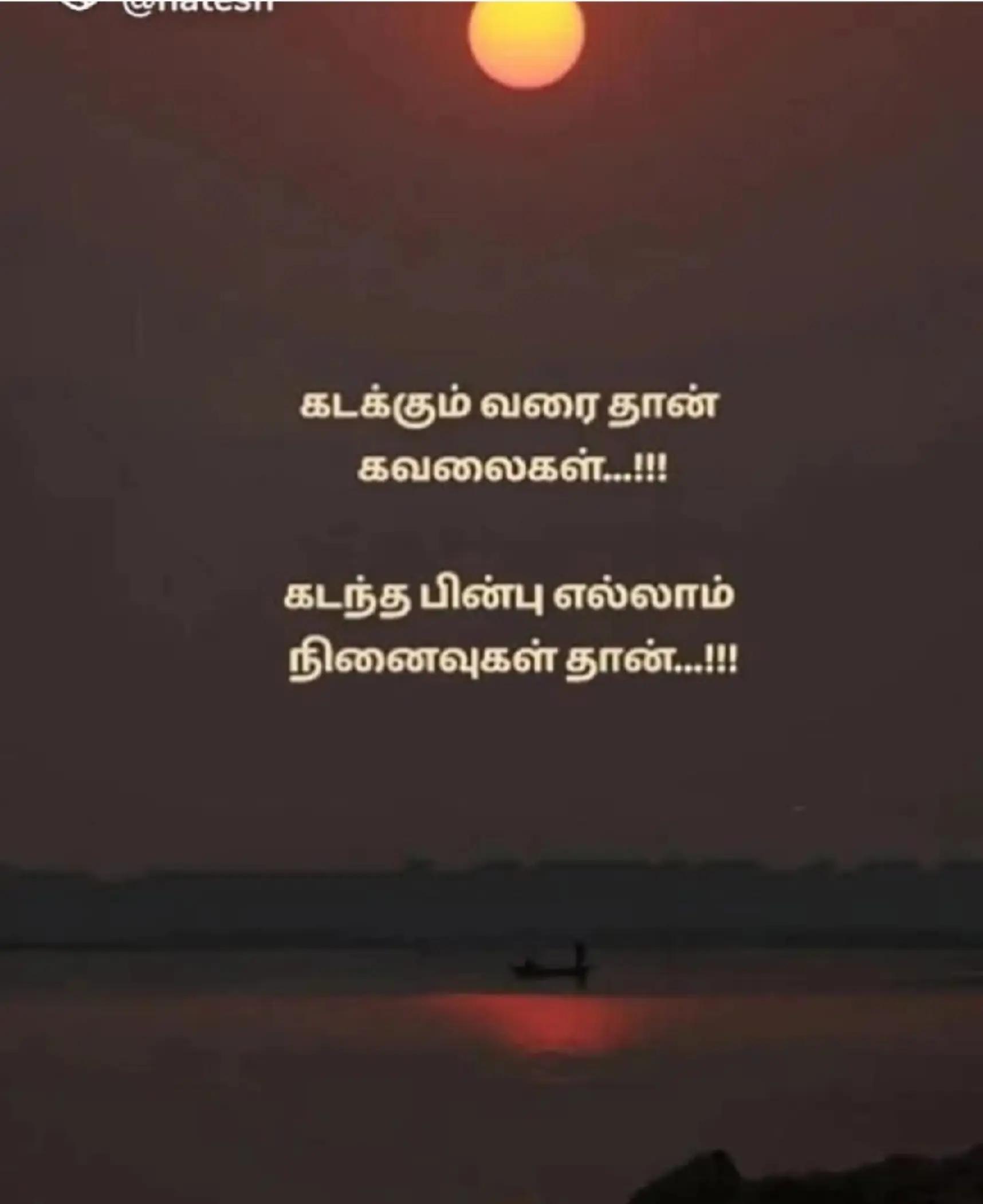 @❤️✯༺SANAR✫kING༻✯❤