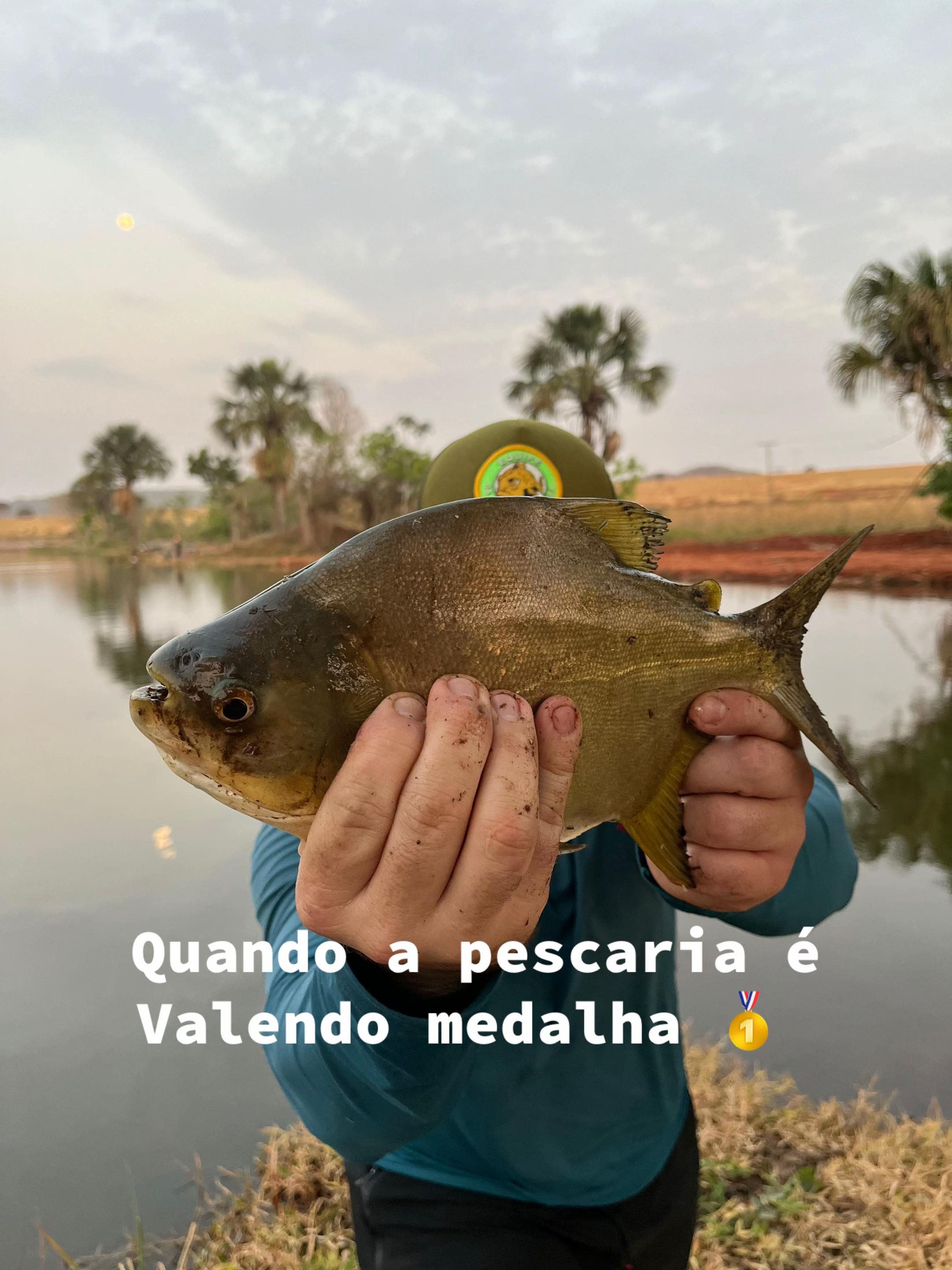 @Dimex Pescador