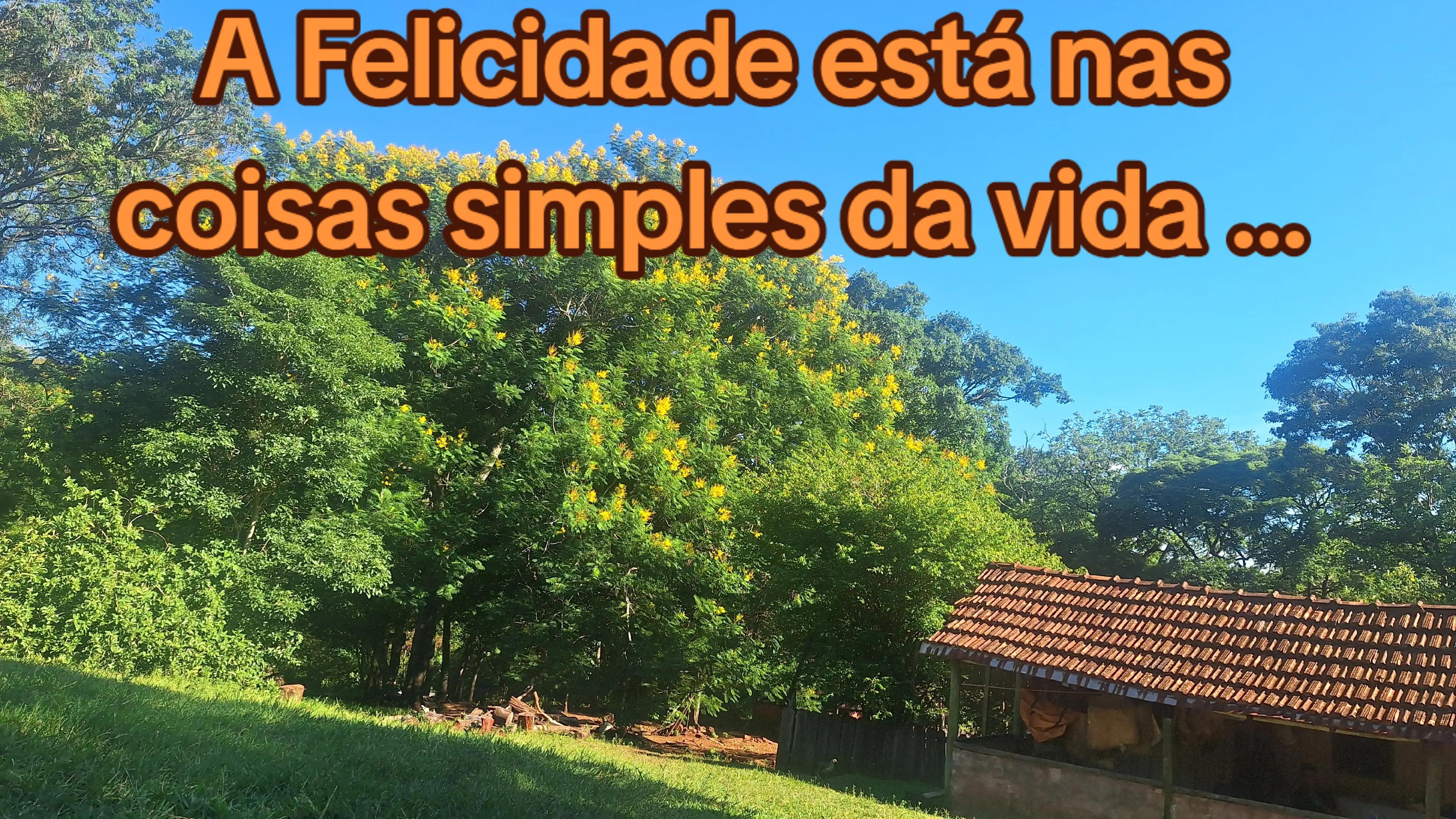 @Cido Barbosa