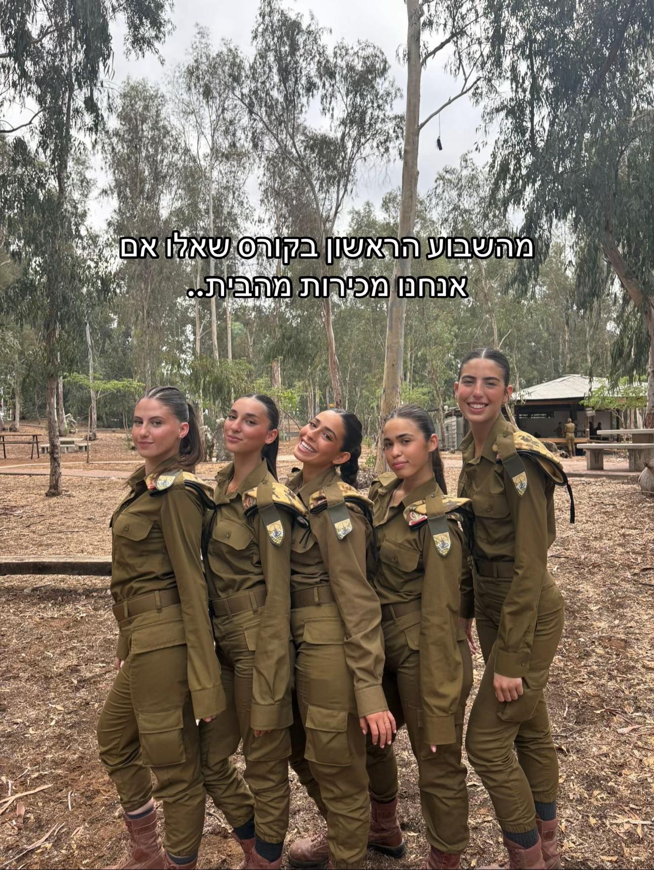 @Sapir.ginsberg