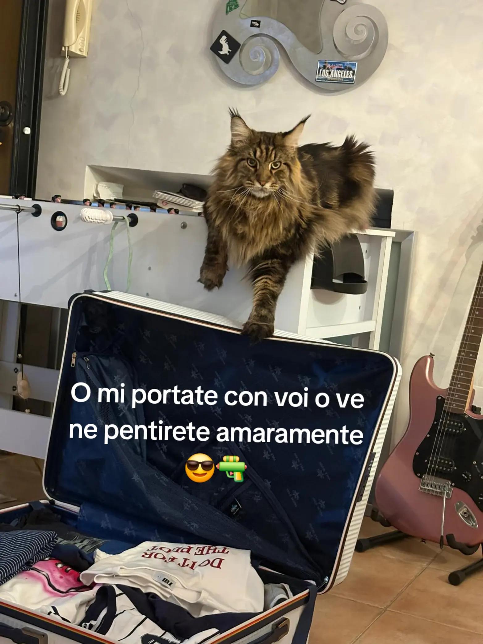 @🐾Aspen🐾