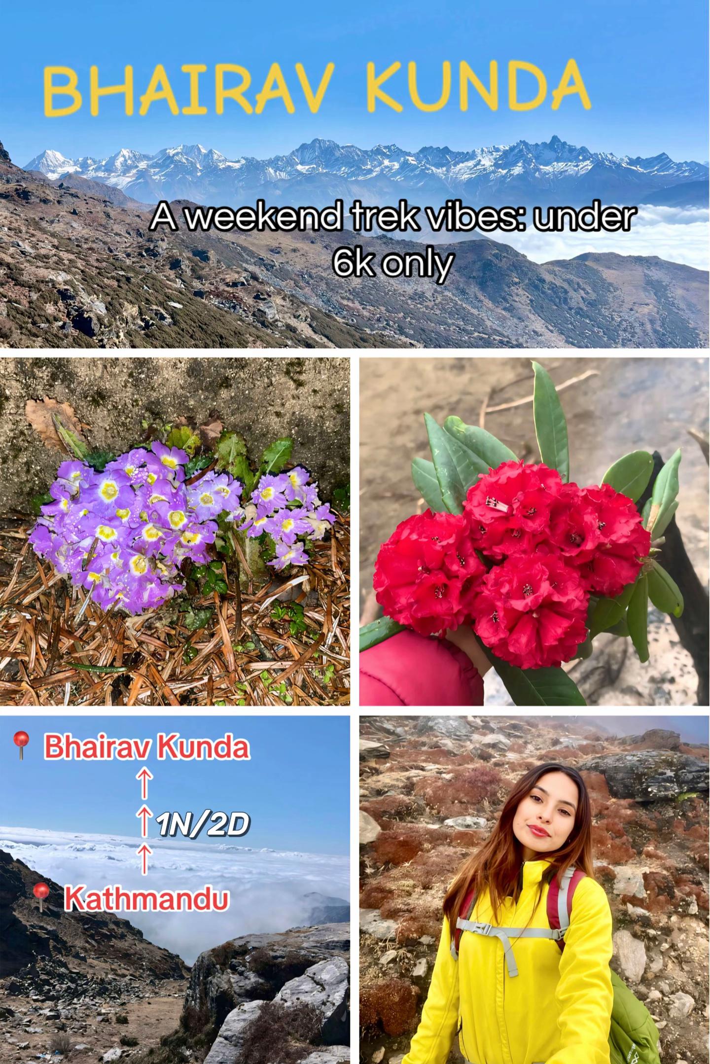 @tripophile