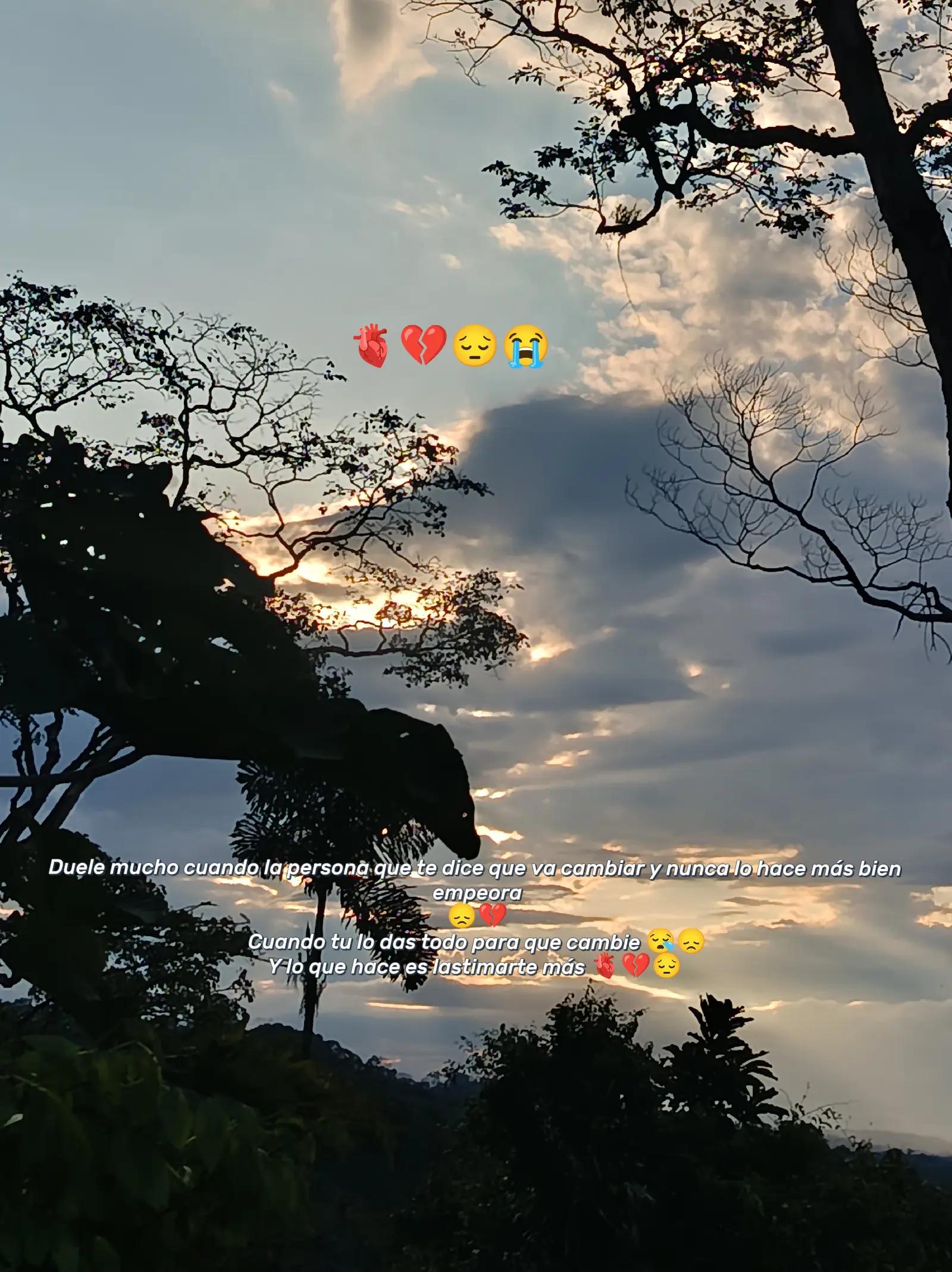 @POETA _JG❤️🩹