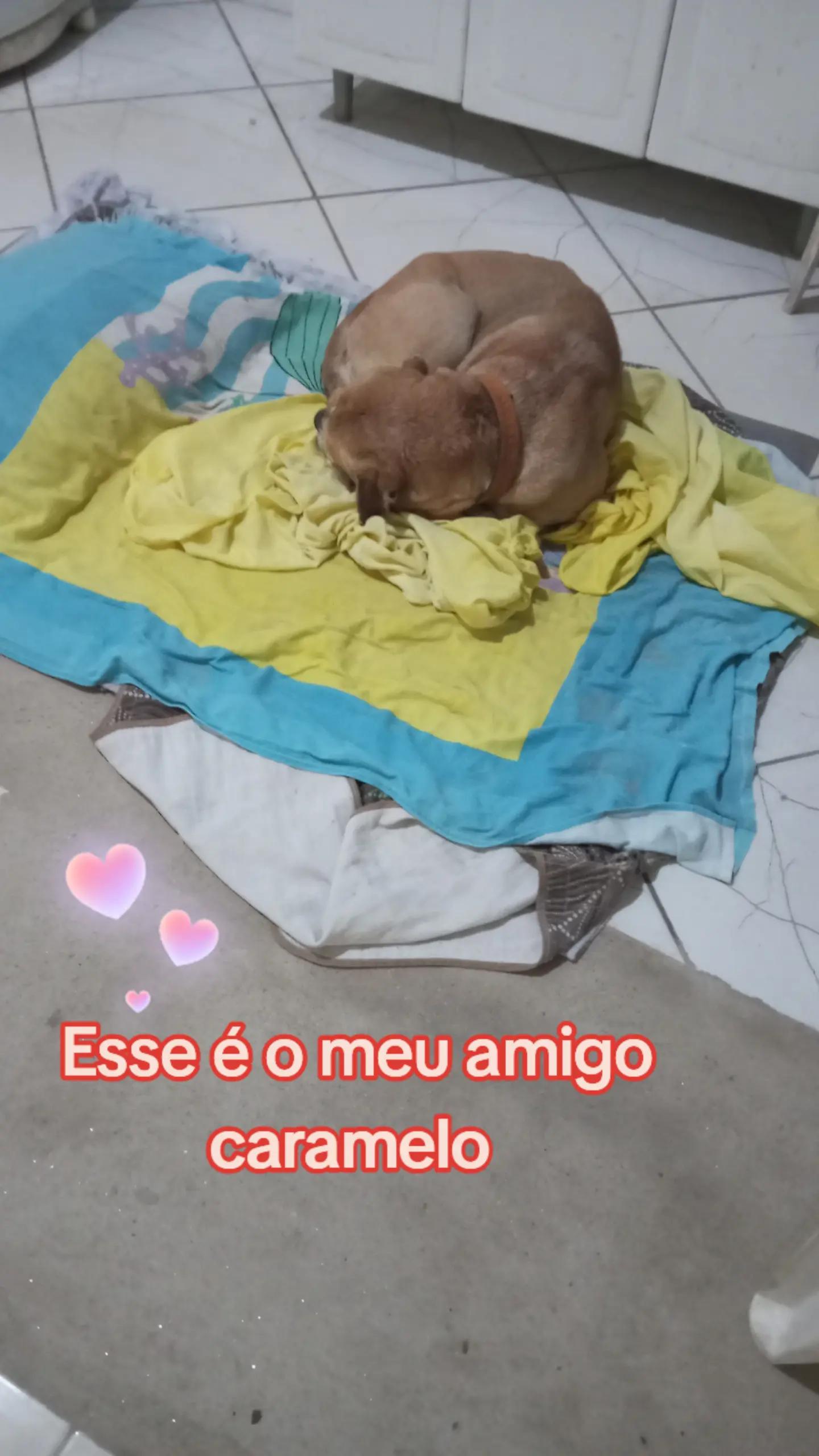 @Bartira &eacute; cultura 👆🙄