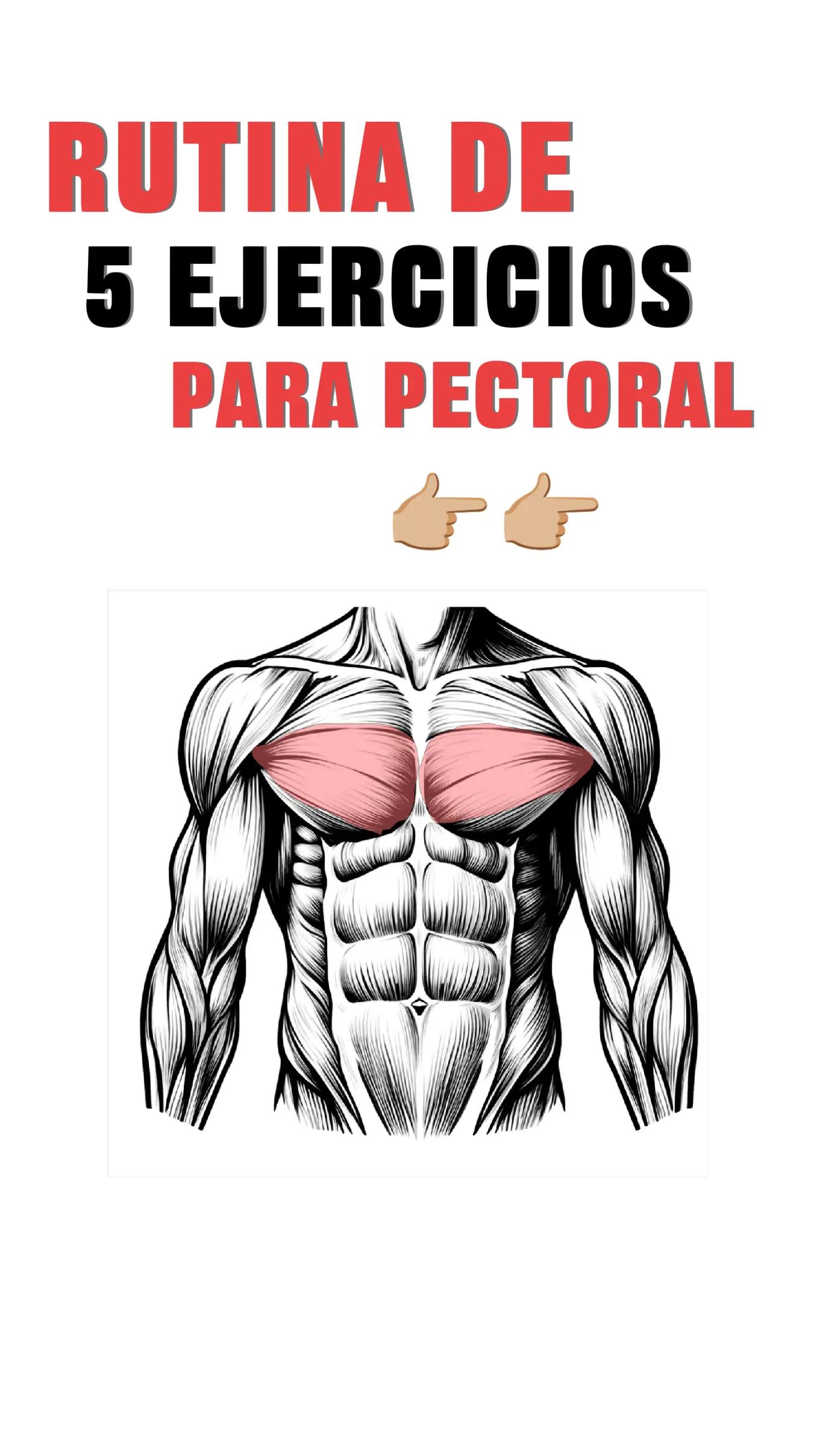 @FitnessRZ 🧬