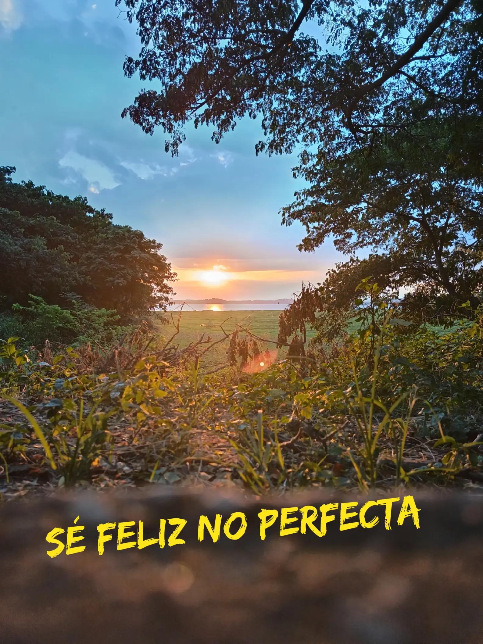 @💫Usuario no encontrado 🌻🌻🌻