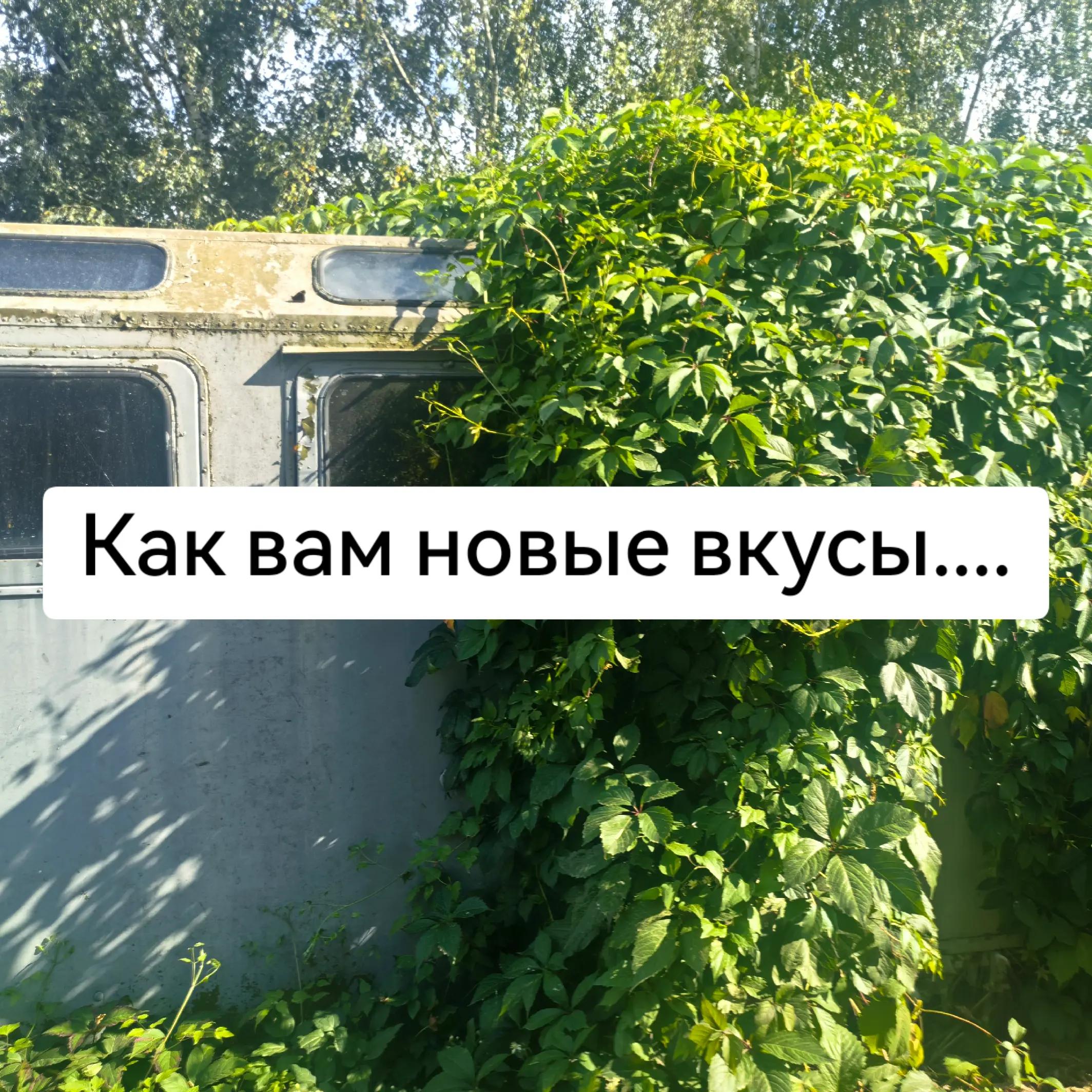 @𝕃𝔼𝕊𝕐𝔸