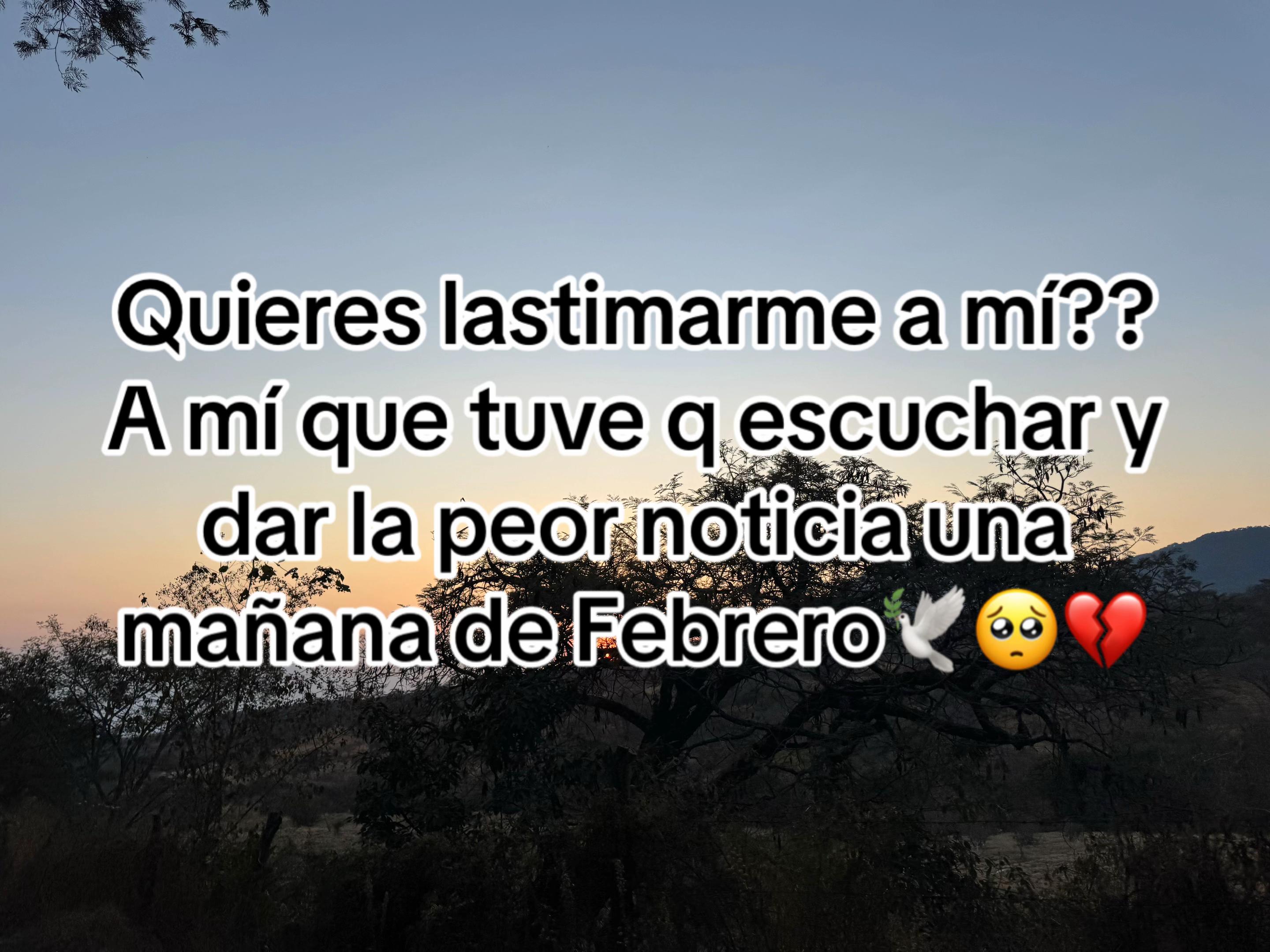 @laura.sanchez296