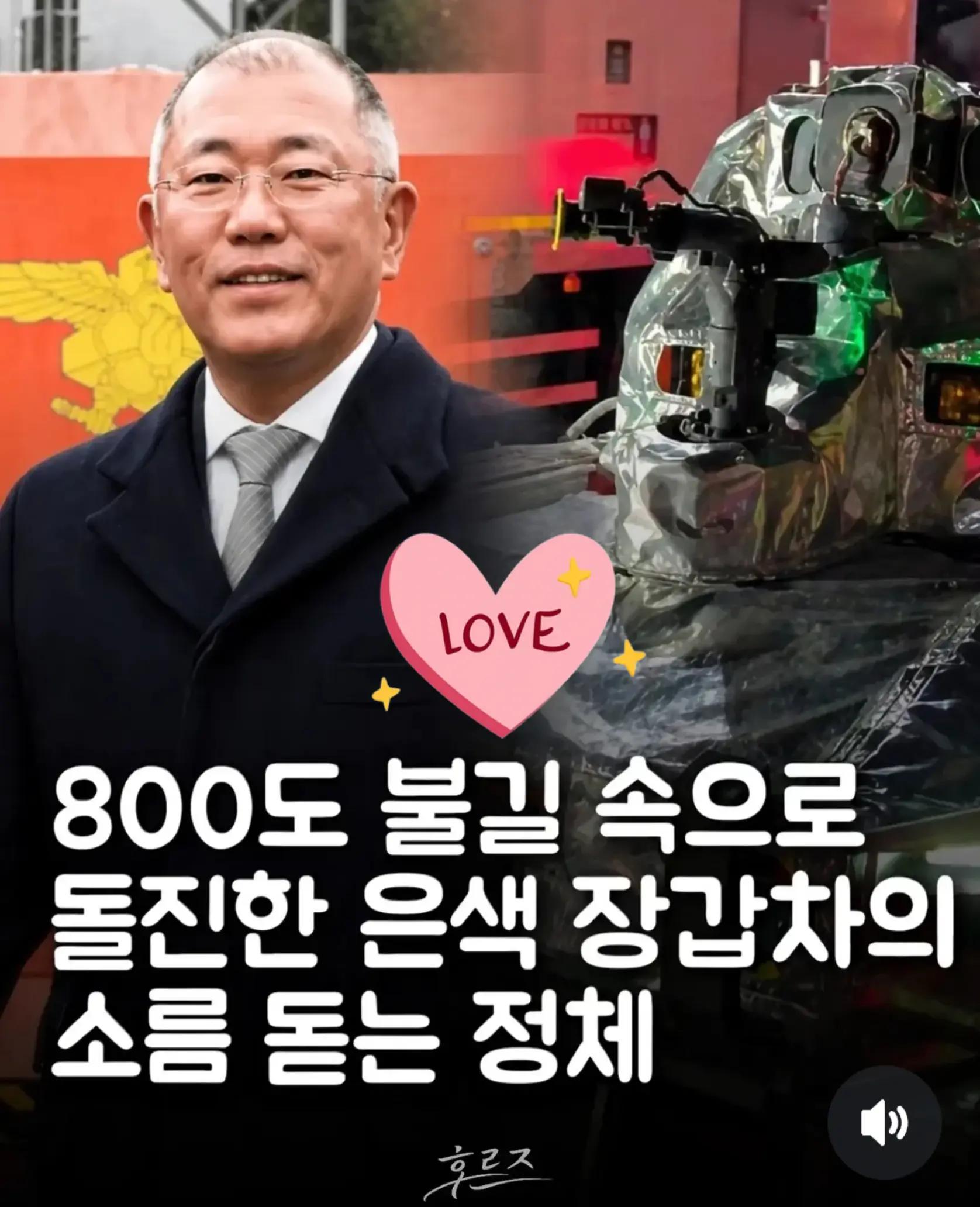 @🌺시라소니[본]🌺