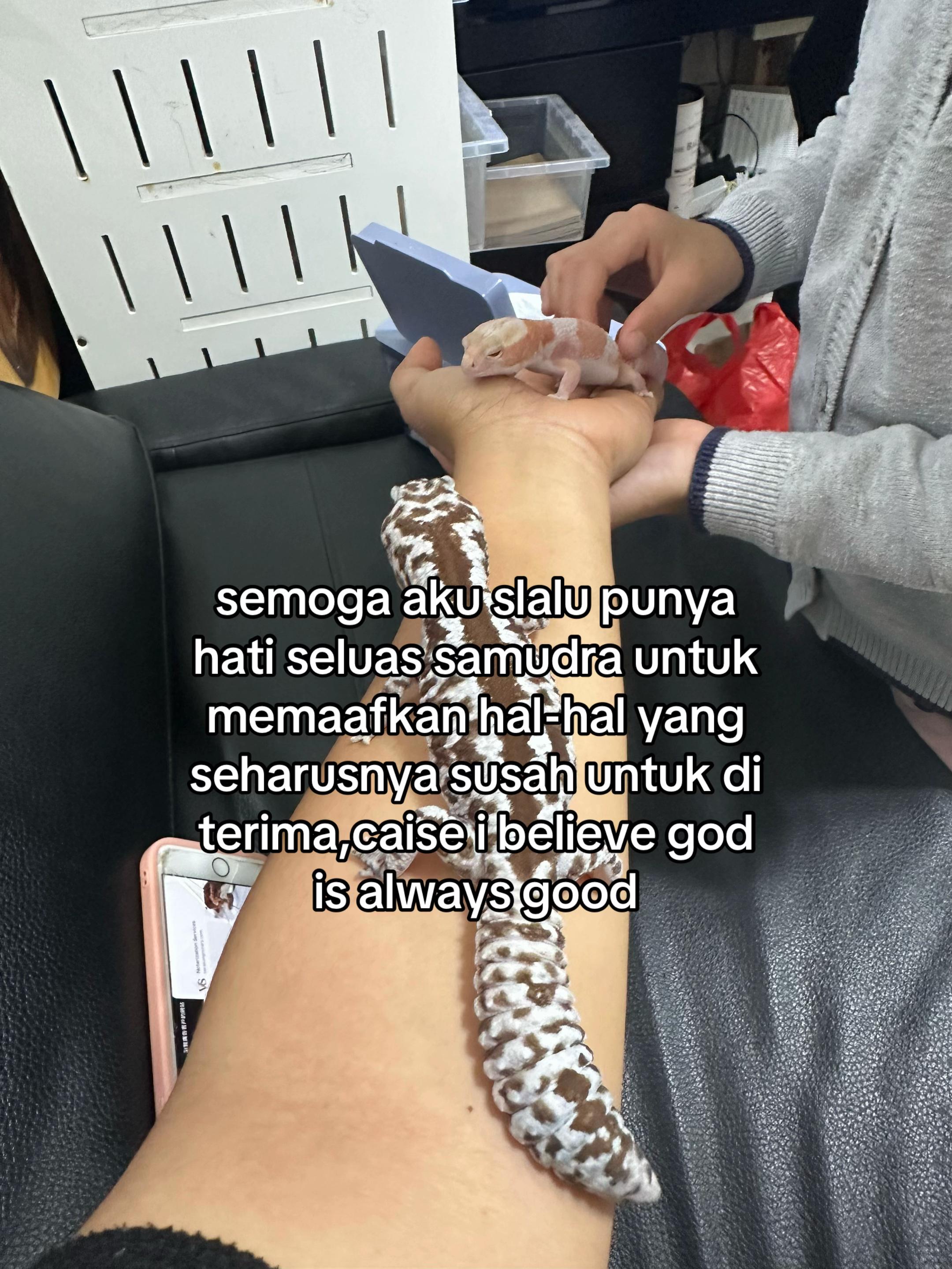 @Monica Icha