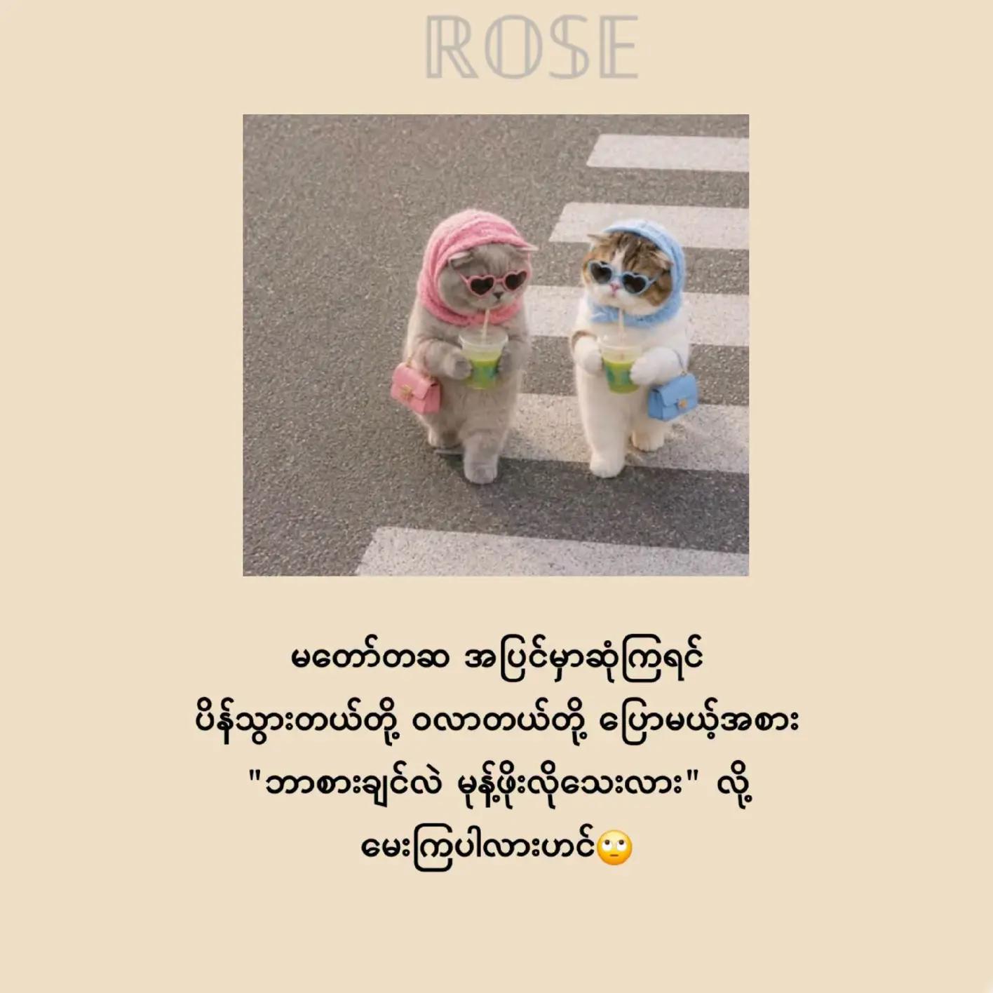 @๐ฌ๐๐๐๐๐๐๐จ