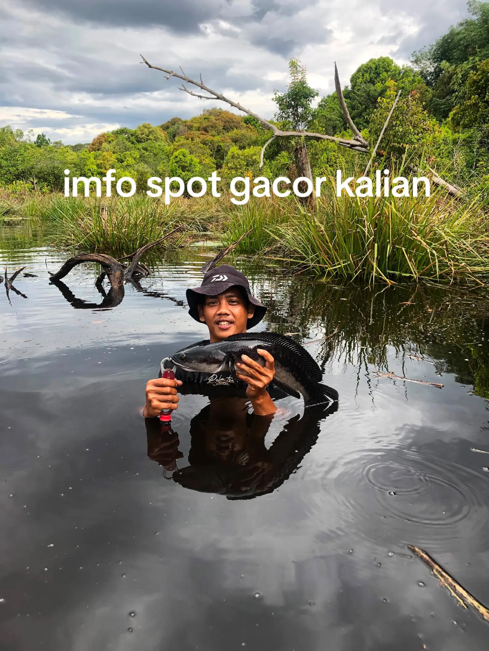 @BONCOS NUSANTARA