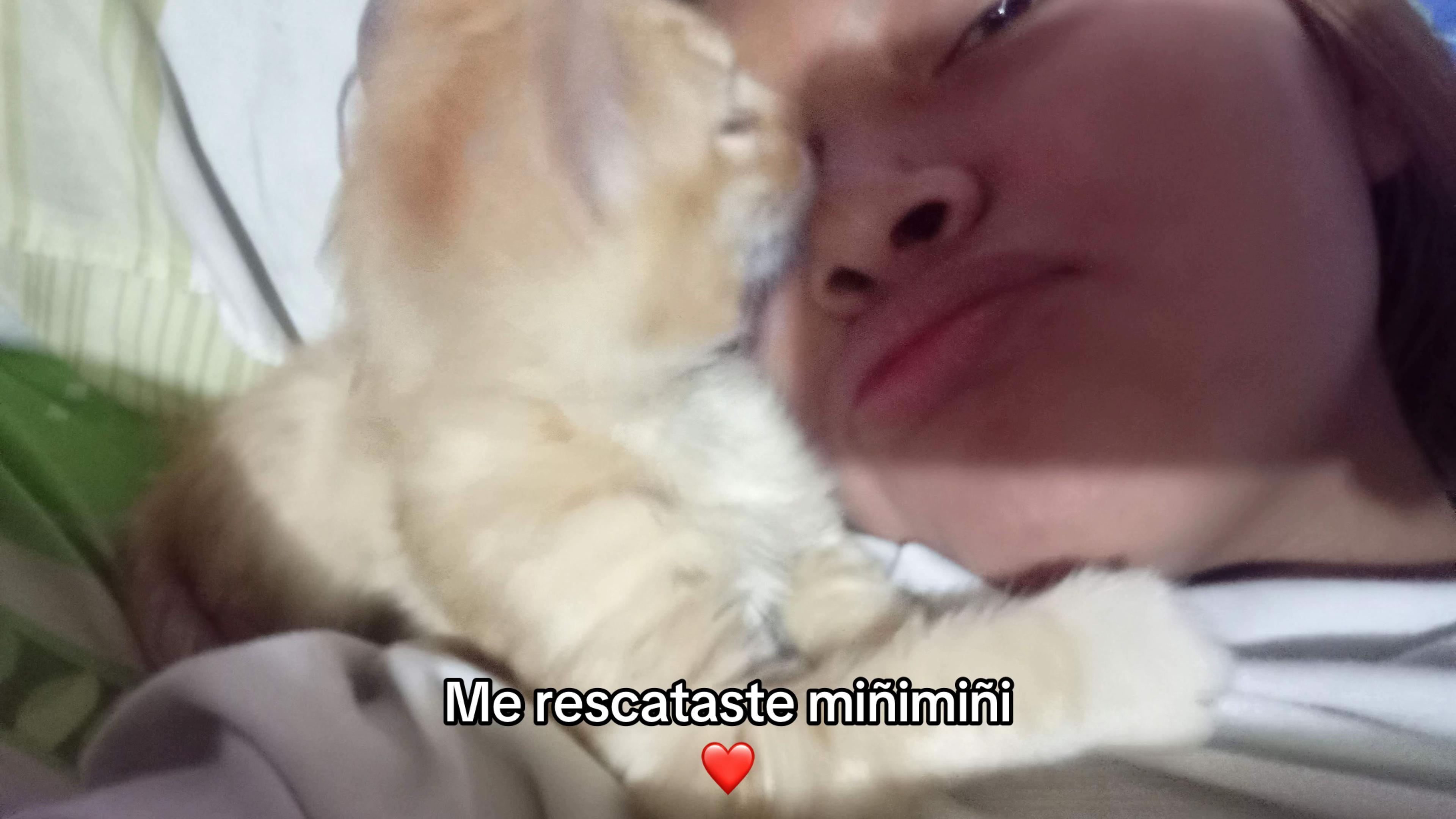 @bitC