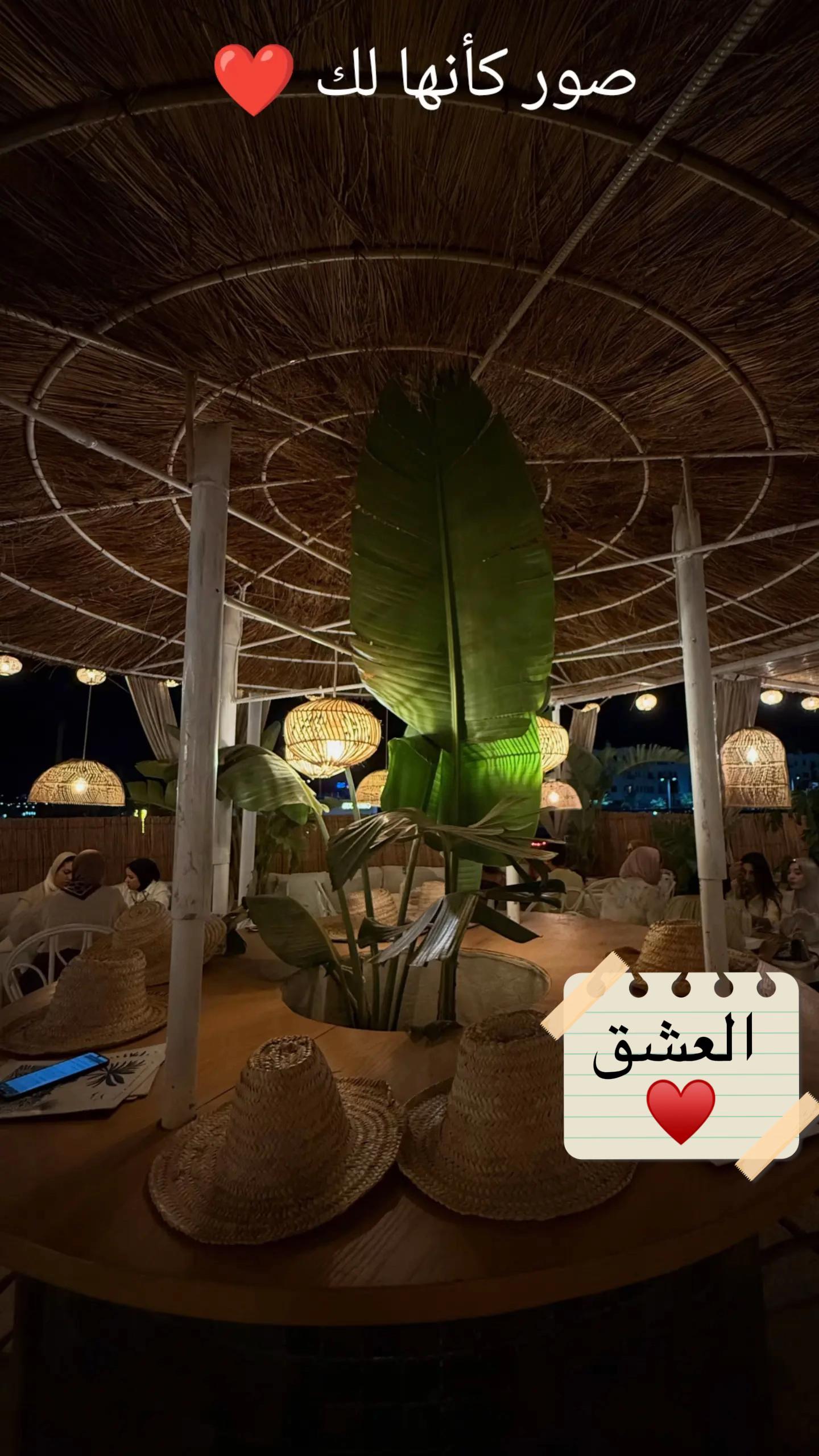 @🦋شيماء شيماء 🦋