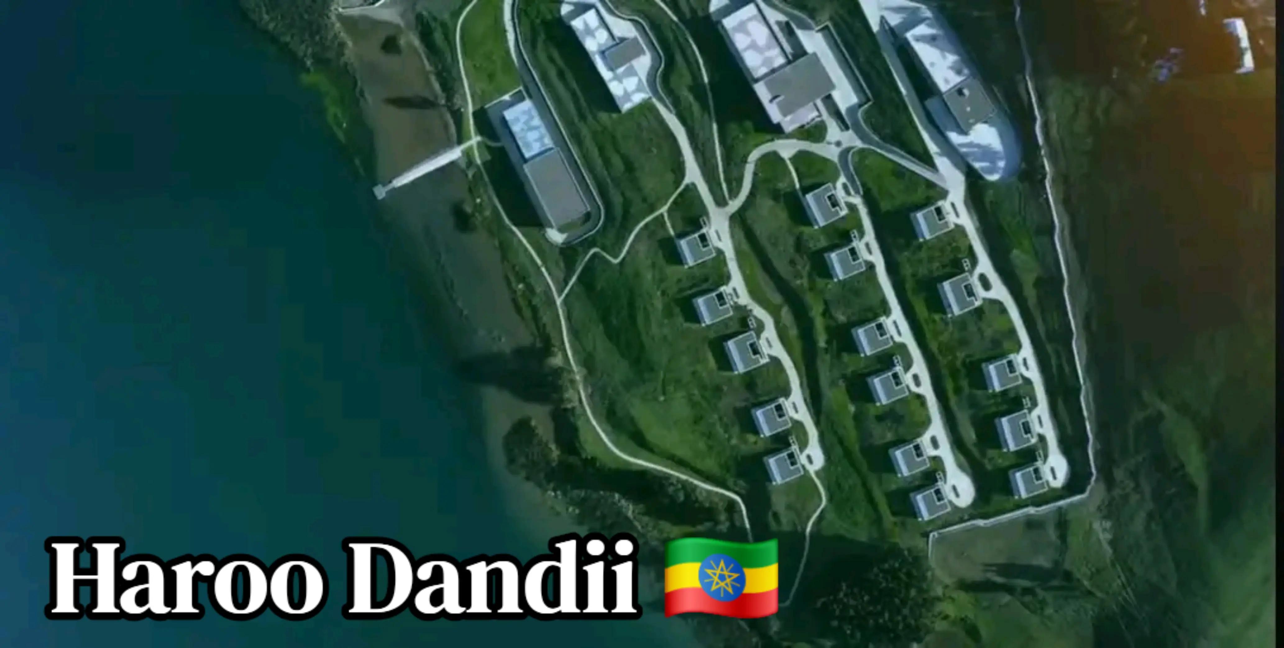 @Shimallis Abdisa Parody