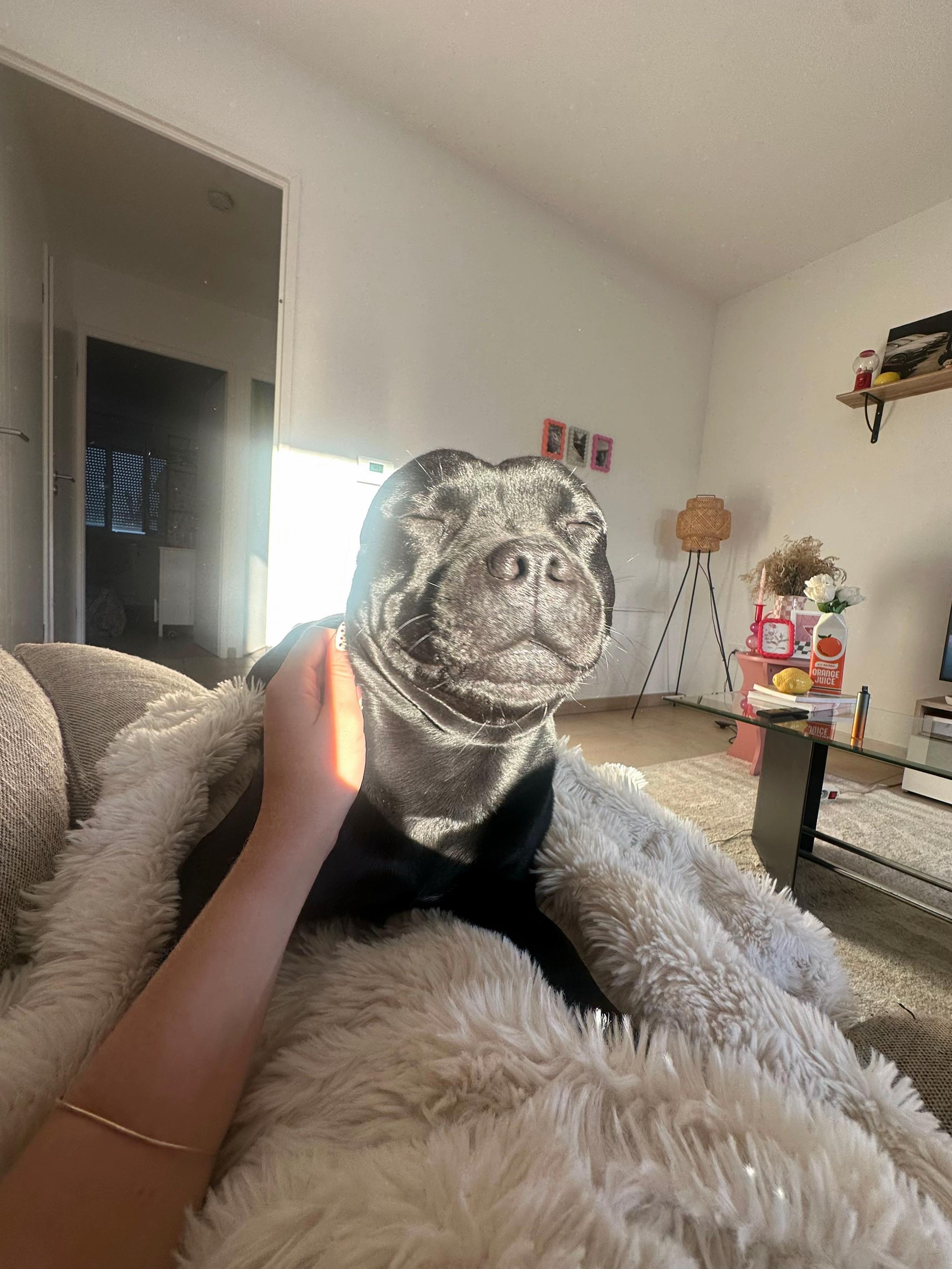 @staffie.young.tao