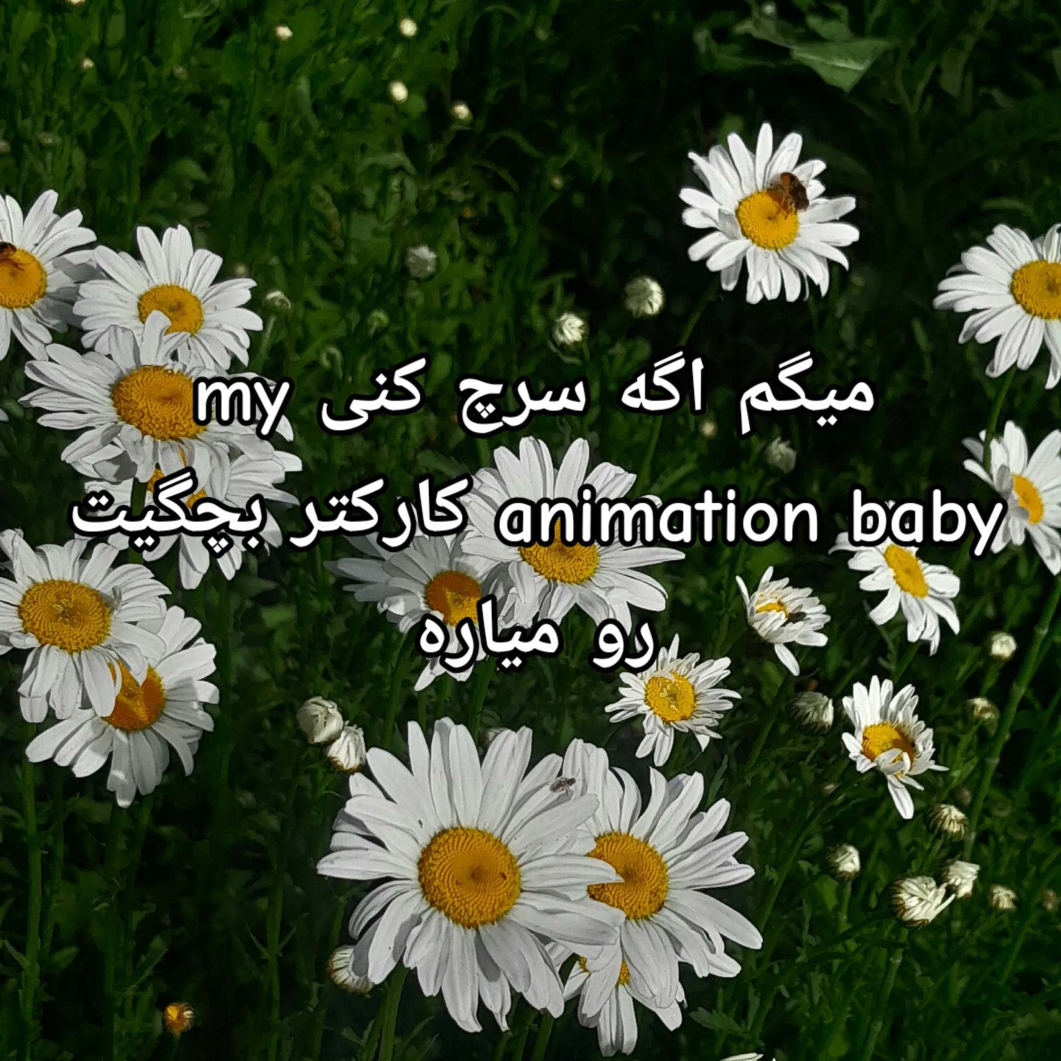 @&bull;~&bull;Maedeh&bull;~&bull;