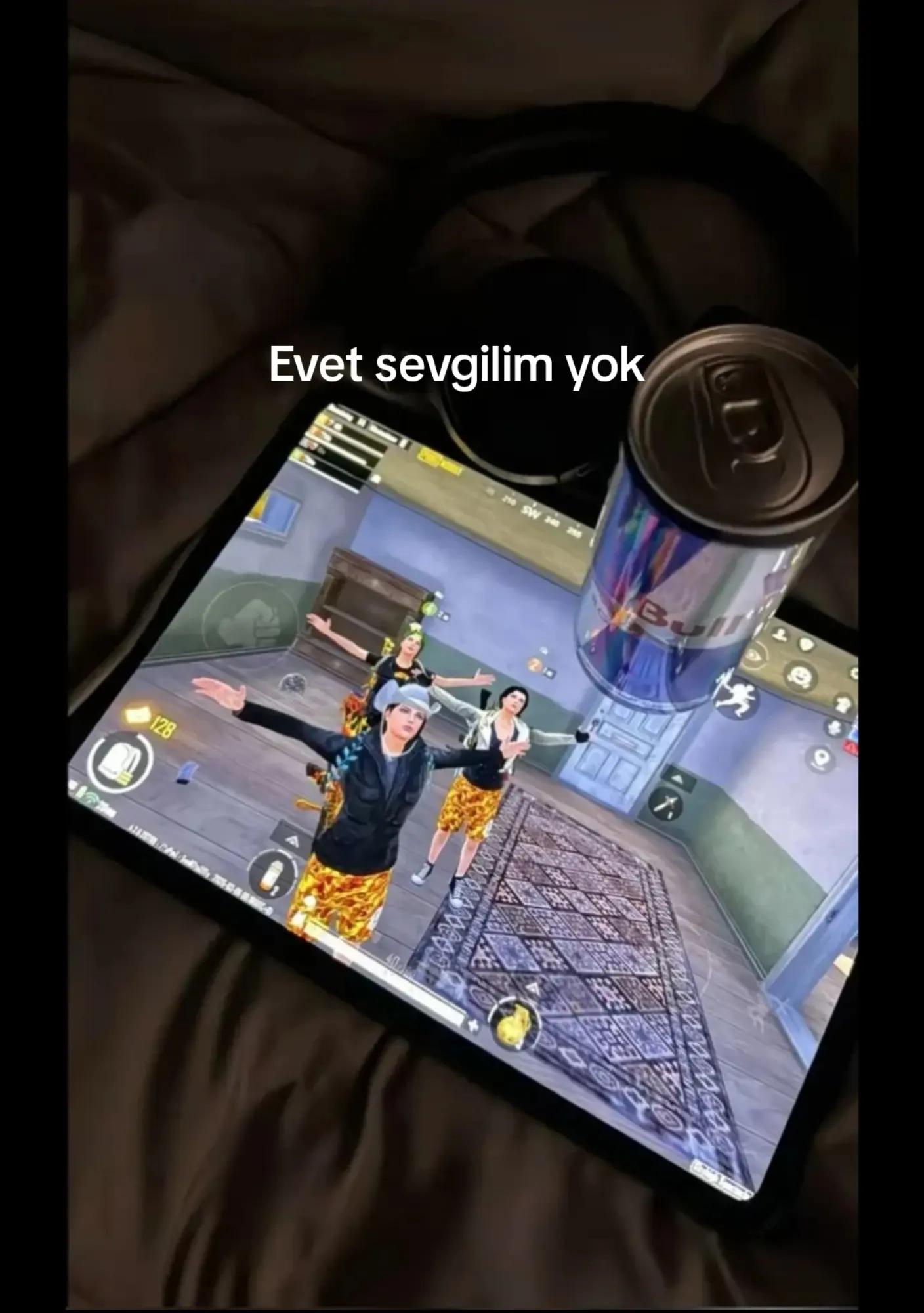 @EvolXL
