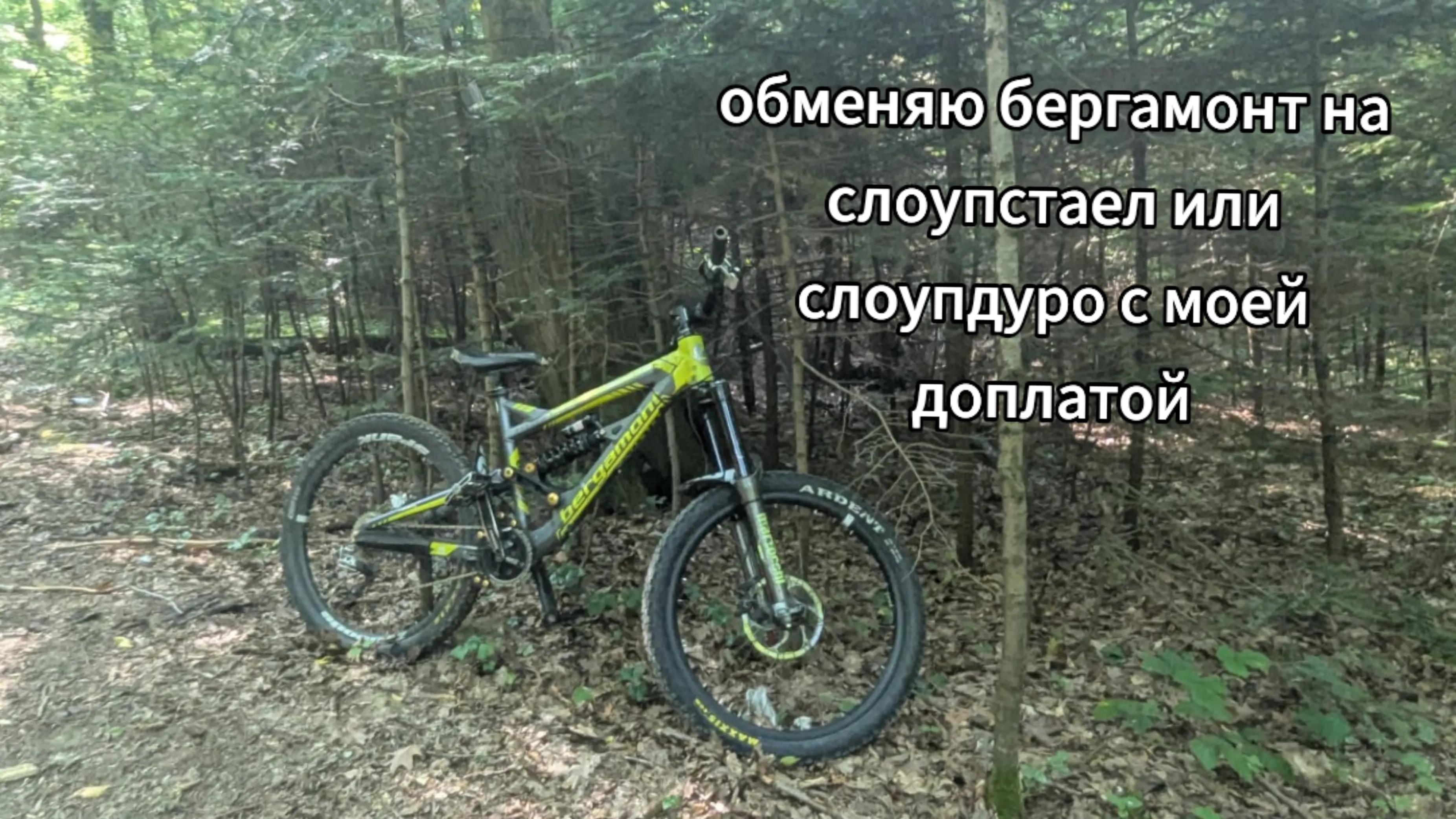 @bergamont_diorter