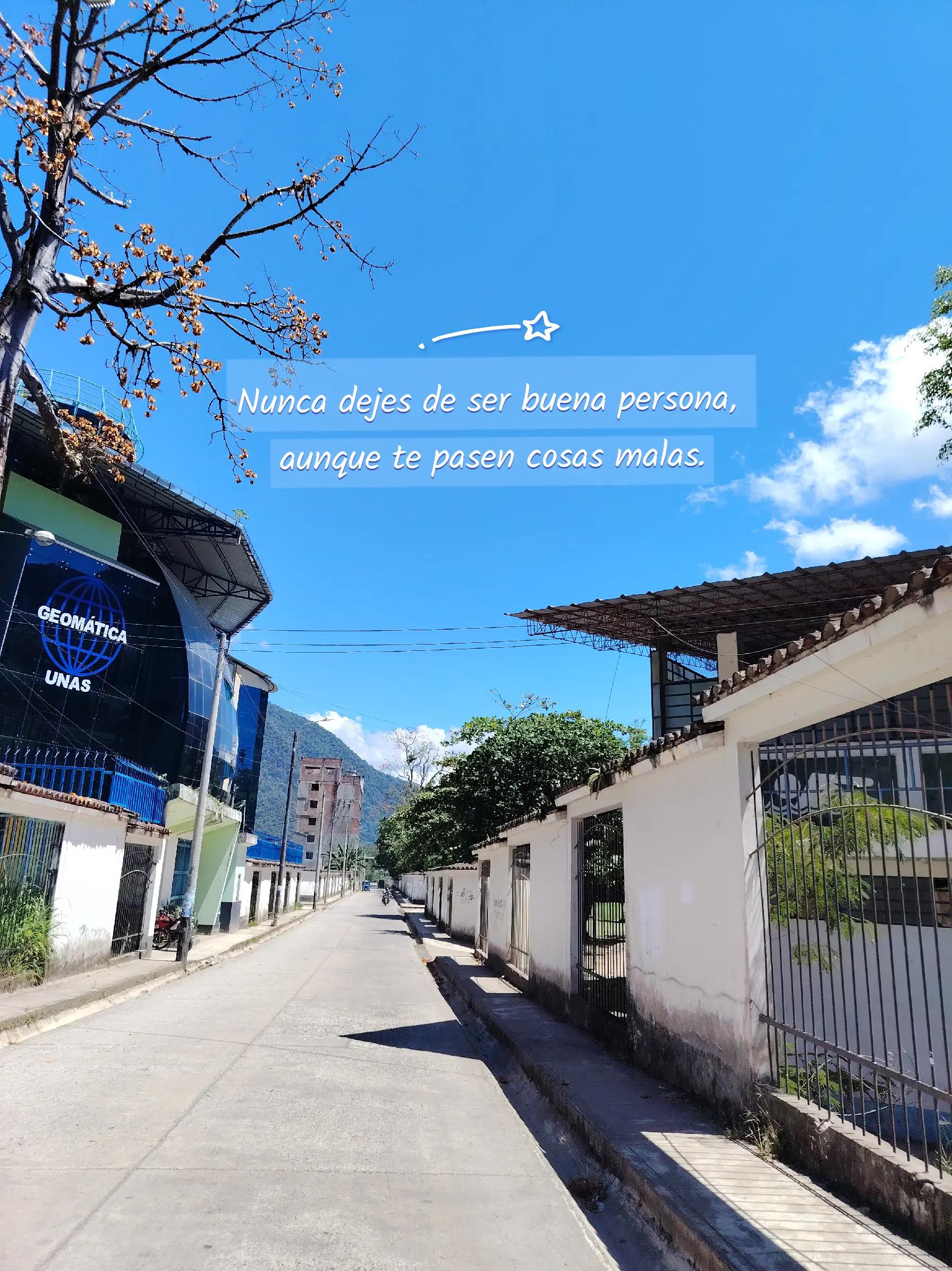 @🩵Andrea Celeste🩵