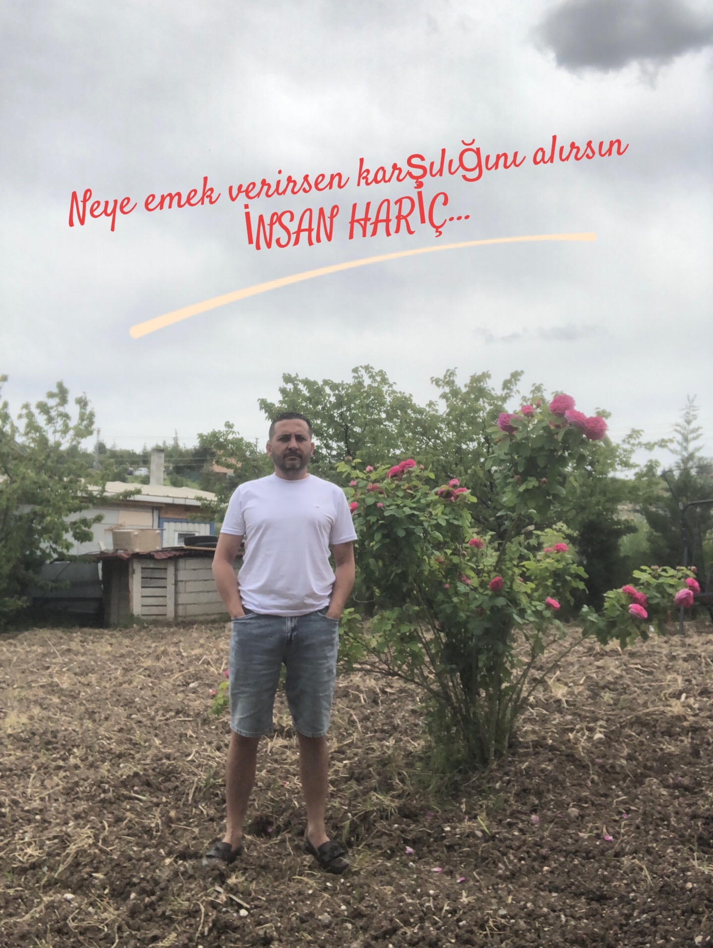 @Tolga baybaş