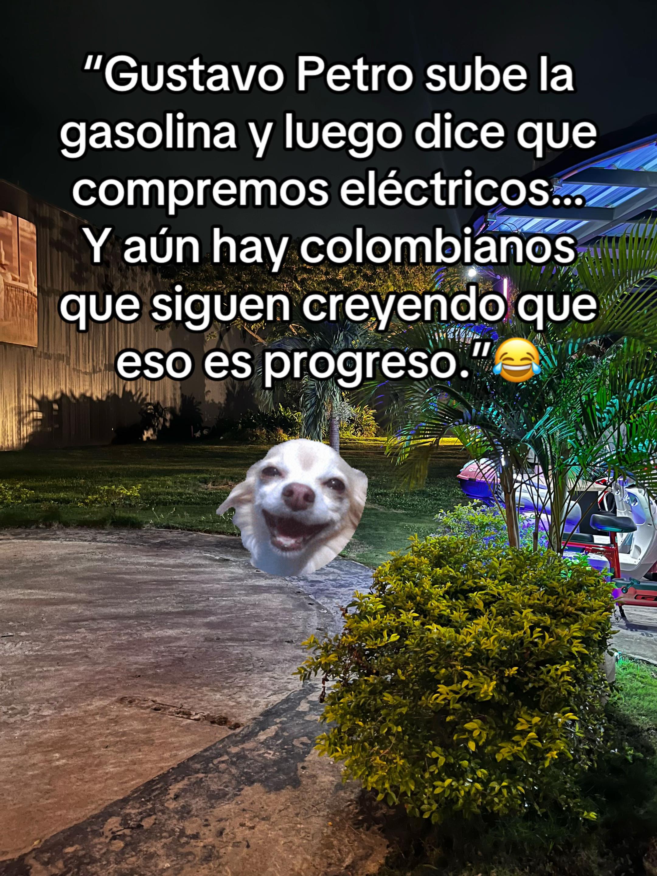 @Paola Jiménez