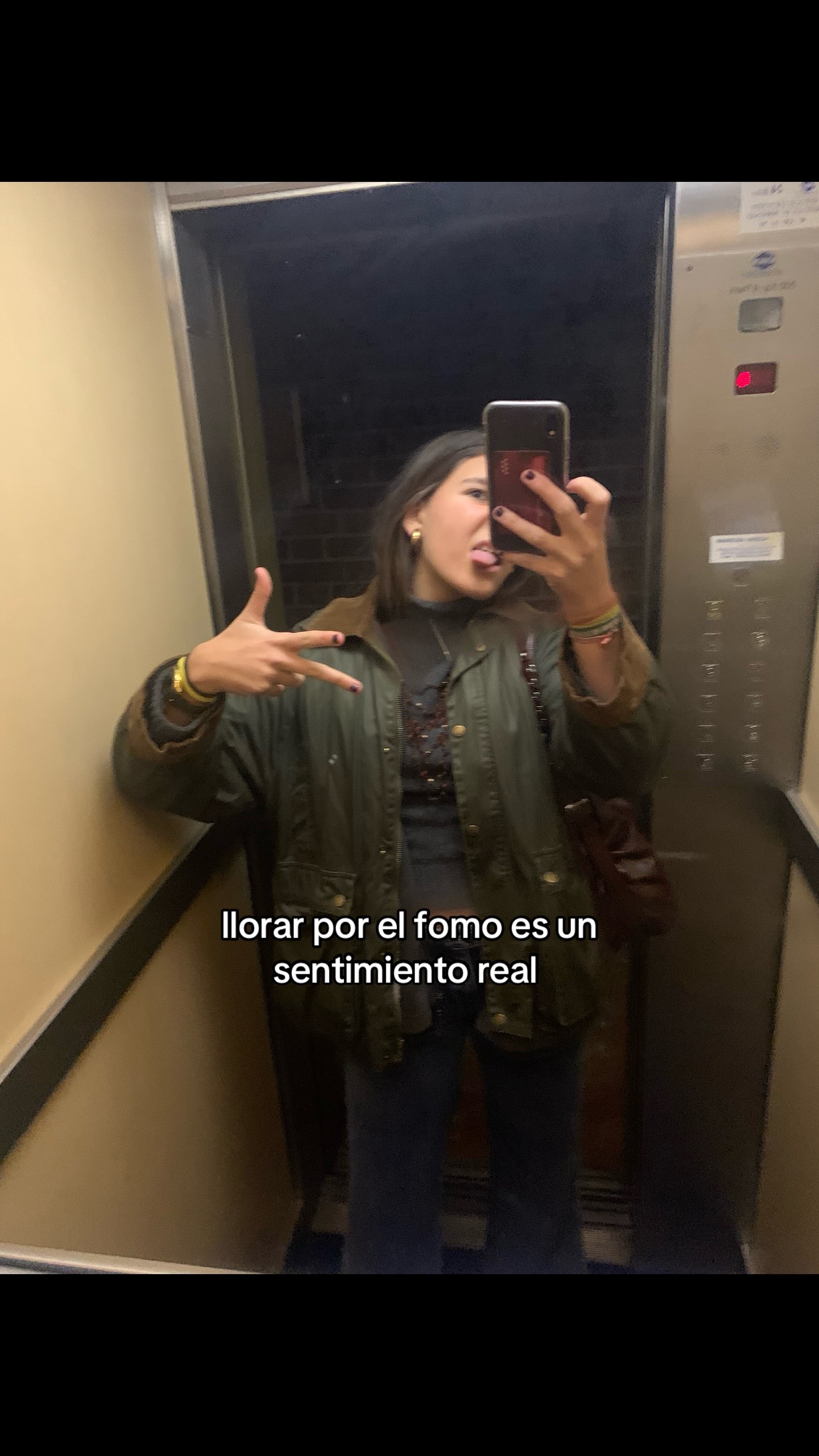 @cerdipous