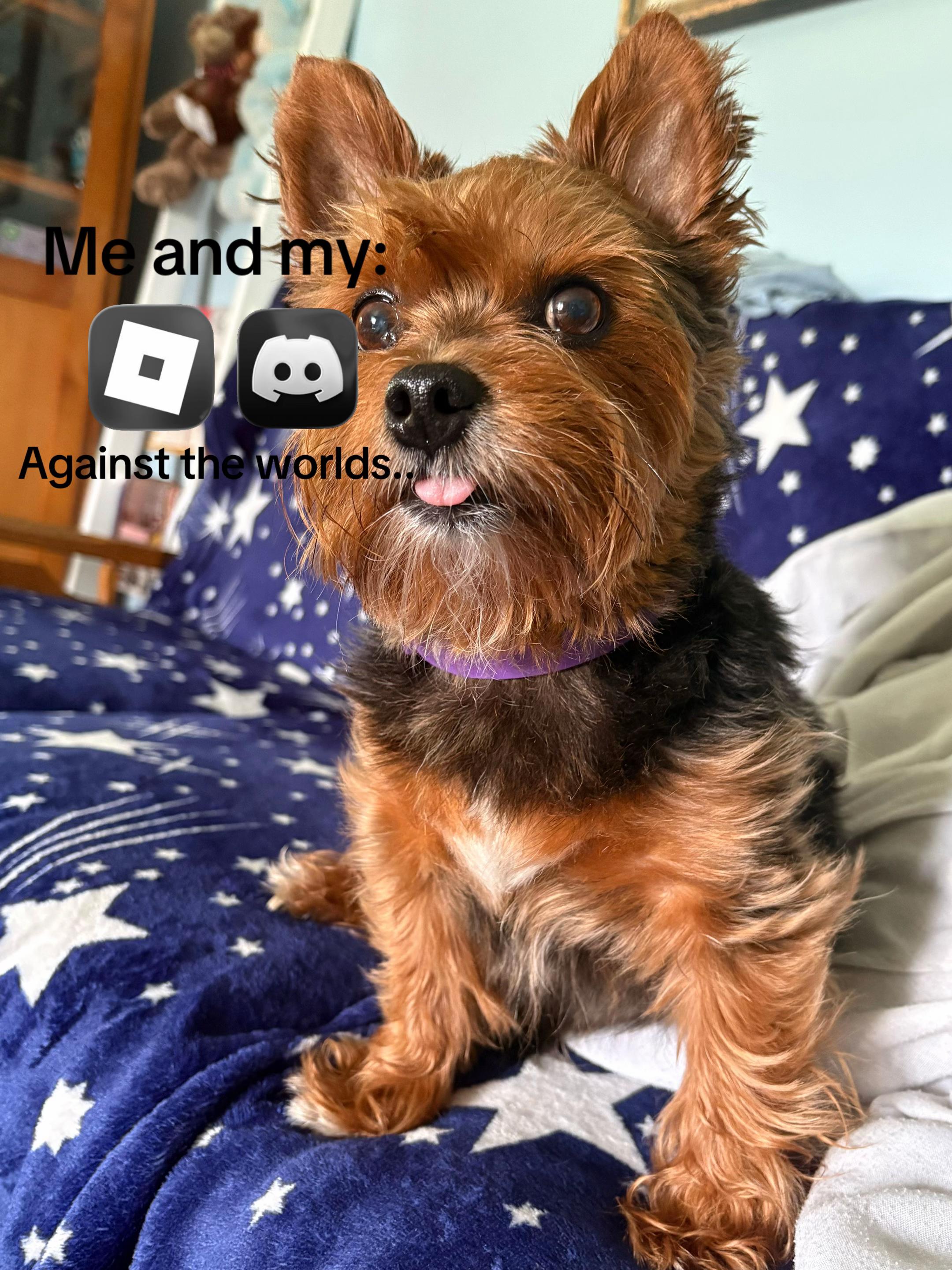 @𝓡𝓾𝓷𝓪