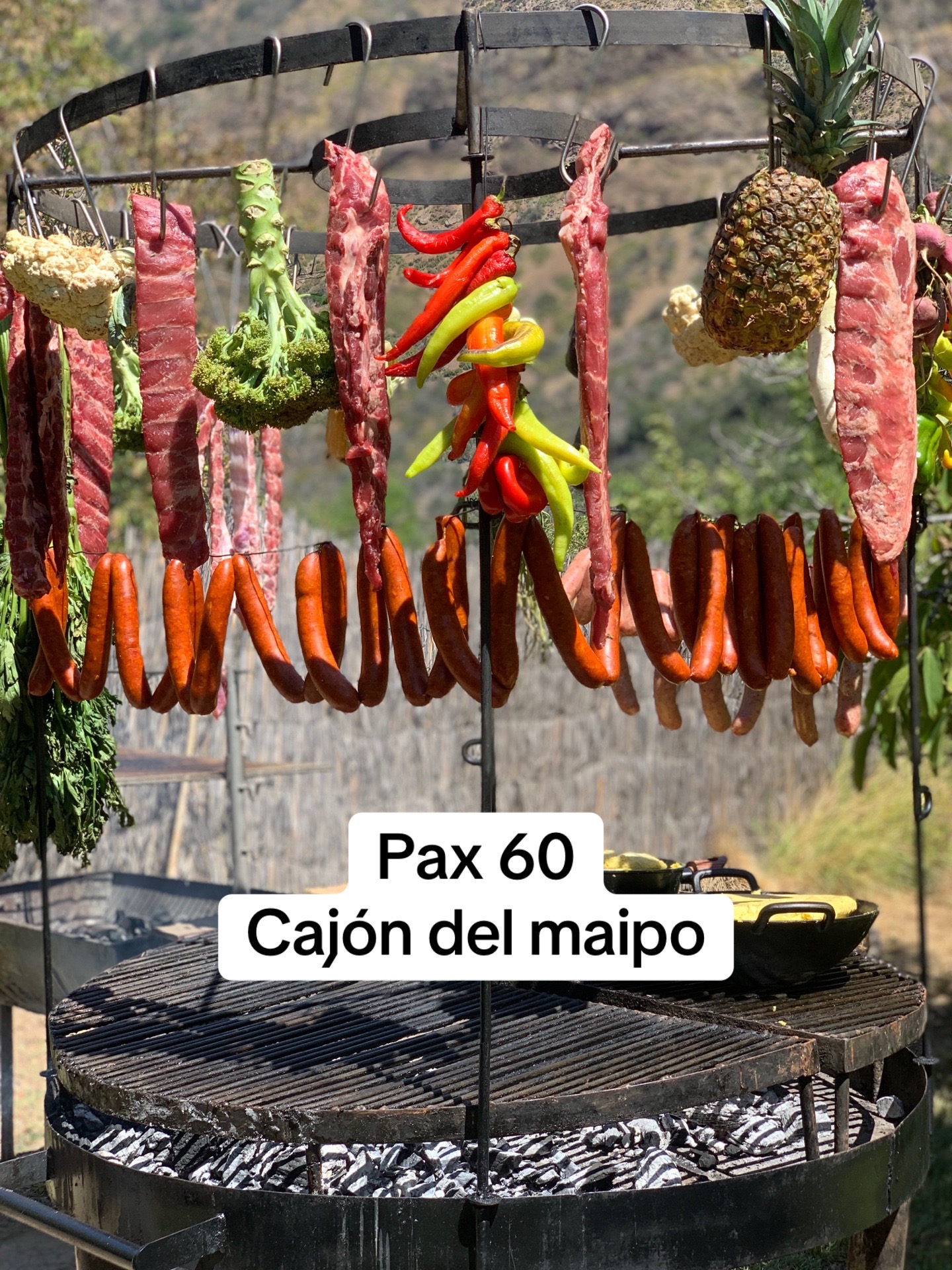 @Wawo de Chile